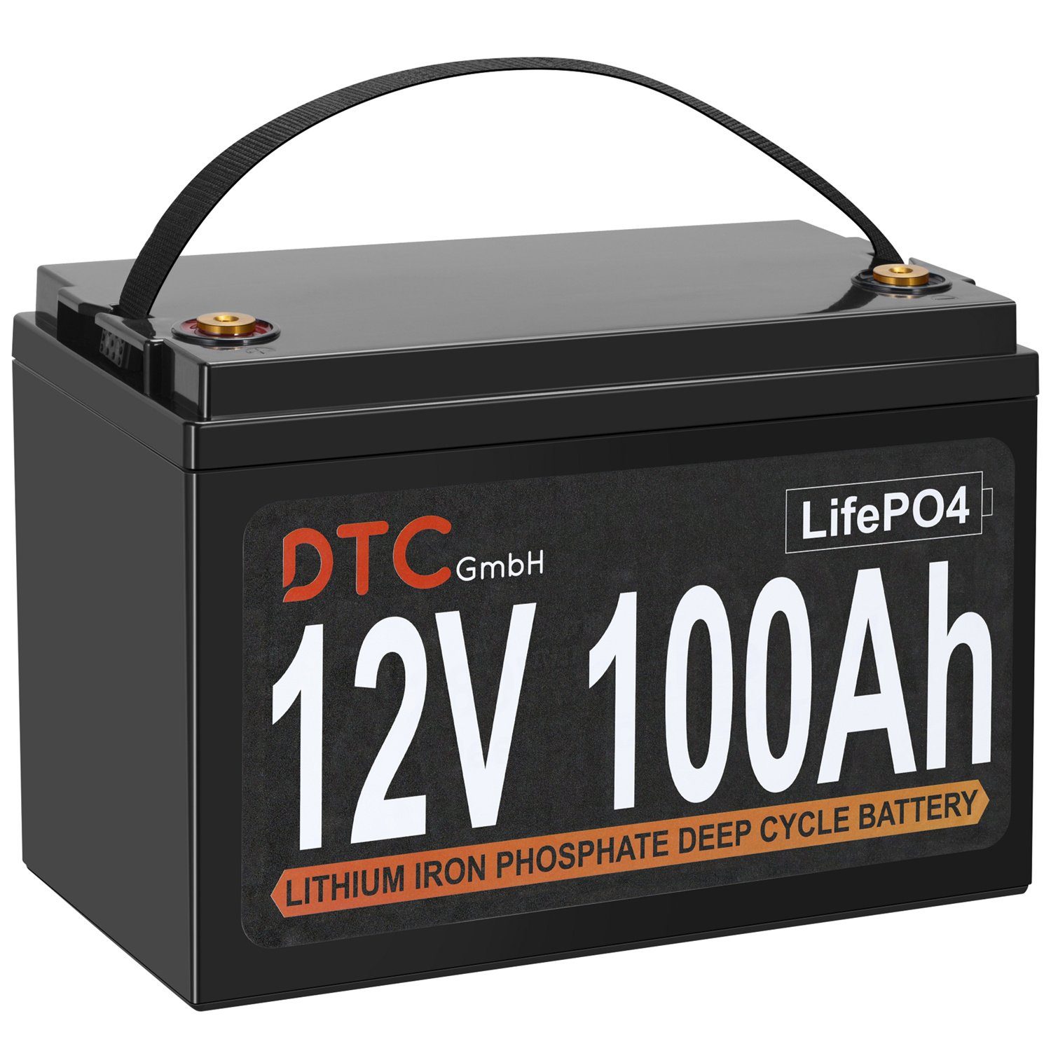 DTC GmbH LiFePO4 Akku 12V (12,8V) 100Ah Lithium Batterie Solarakkus  Stromspeicher 1280 Wh 100000 mAh (12 V), M8