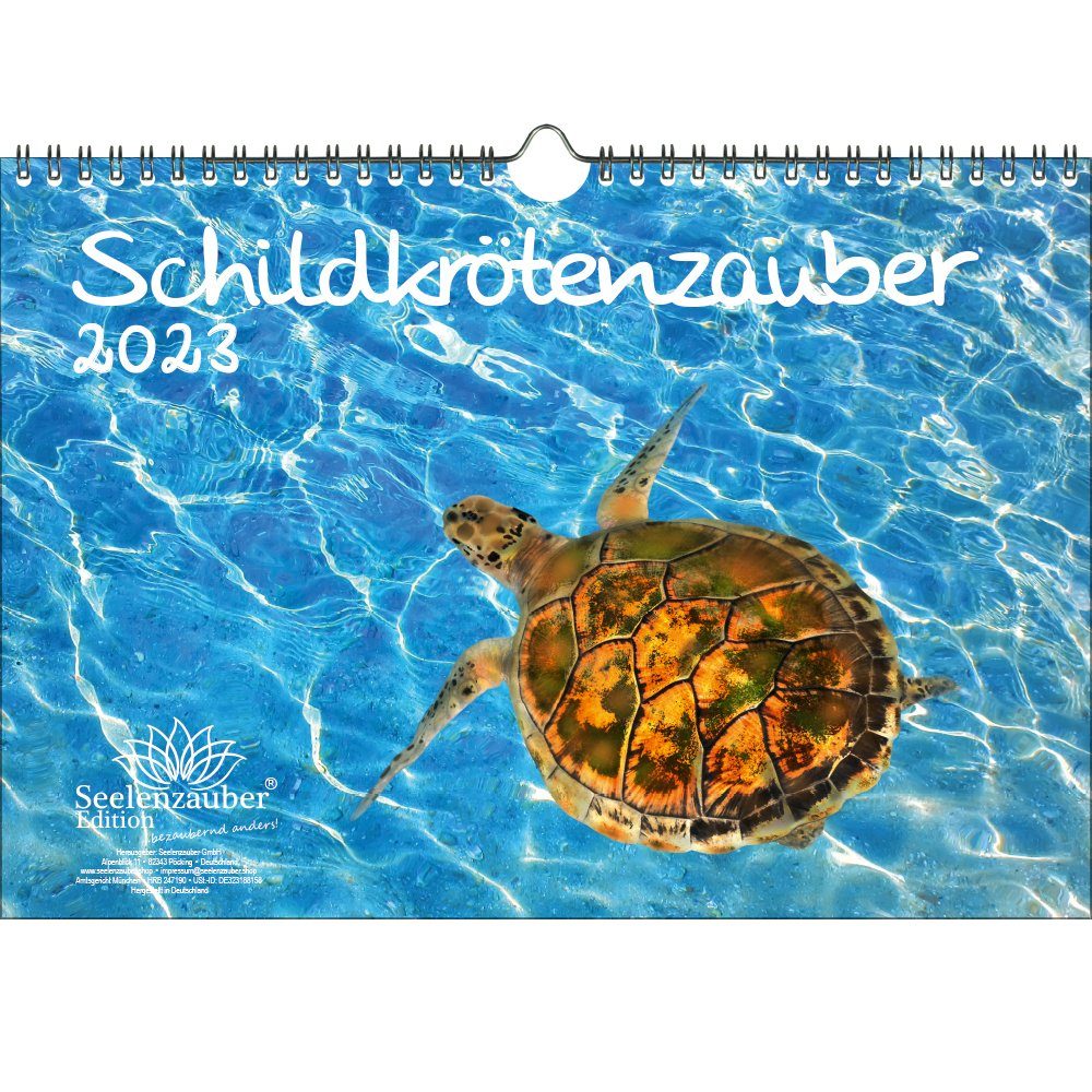 Schildkrötenzauber: Ausmalbilder für Groß und Klein – Entspannung, Kreativität und Spaß!