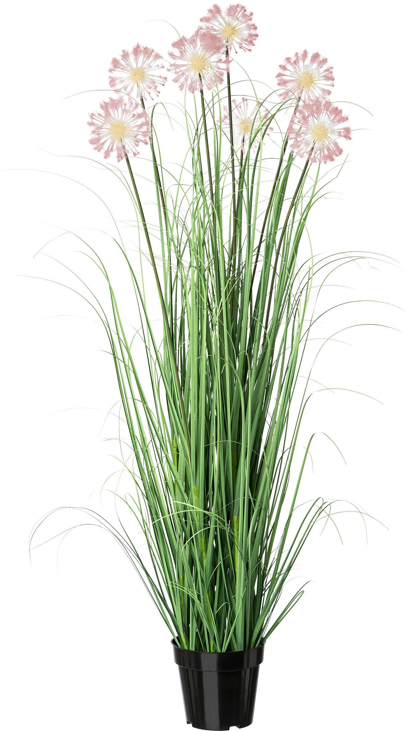 Kunstgras Grasbusch mit Pusteblume Gras, Creativ günstig online kaufen