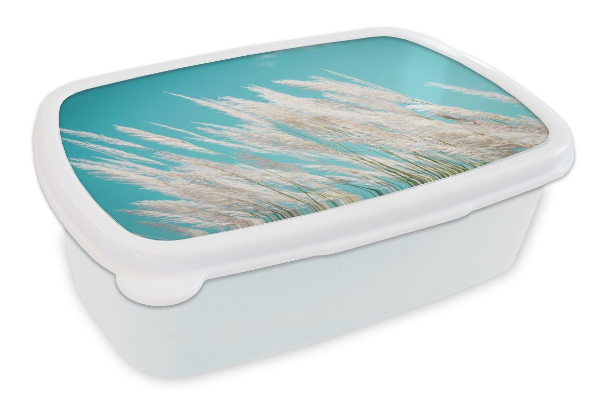 MuchoWow Lunchbox Pampasgras - Pflanze, Kunststoff, (2-tlg), Brotbox für Kinder und Erwachsene, Brotdose, für Jungs und Mädchen weiß