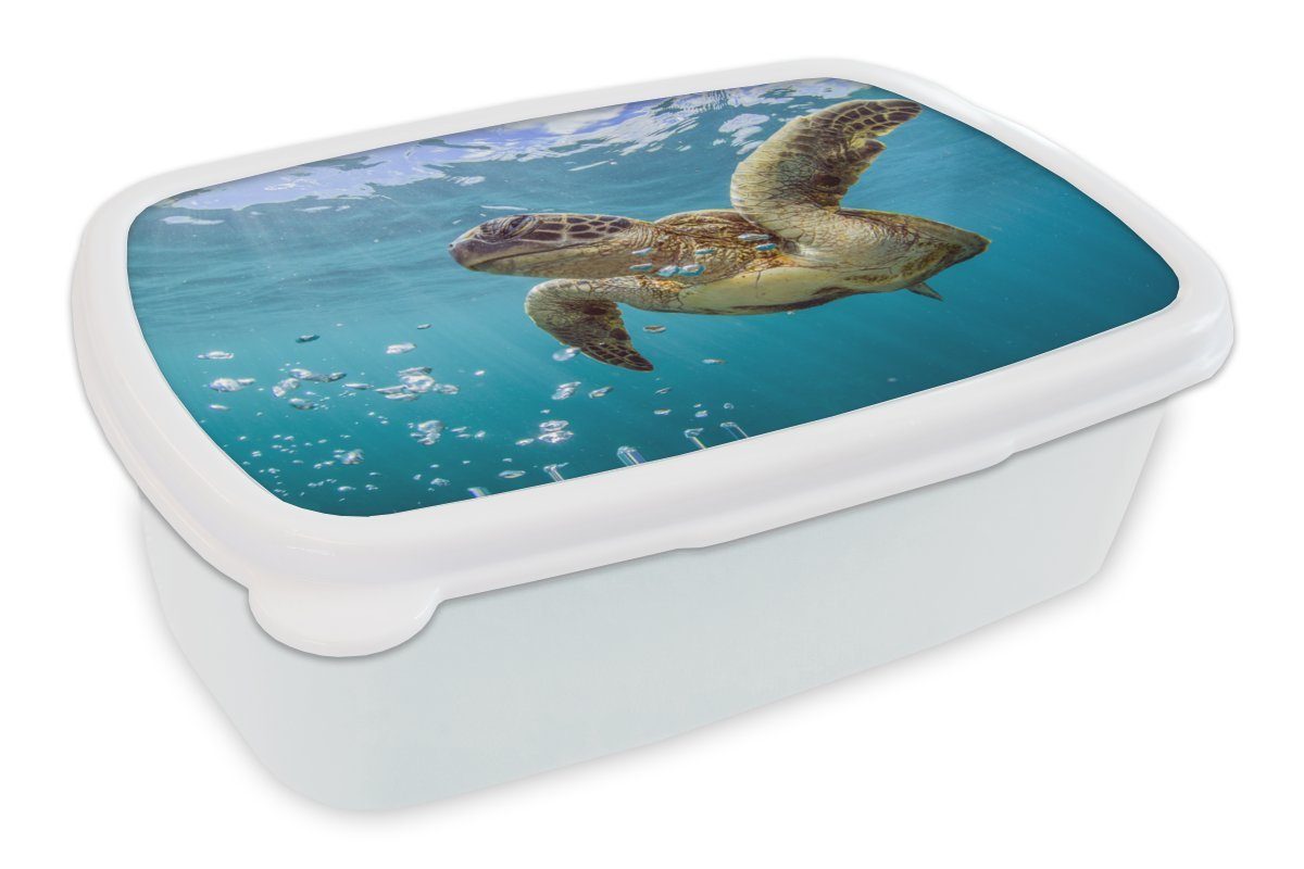 MuchoWow Lunchbox Eine Meeresschildkröte umgeben von Blasen, Kunststoff, (2-tlg), Brotbox für Kinder und Erwachsene, Brotdose, für Jungs und Mädchen weiß