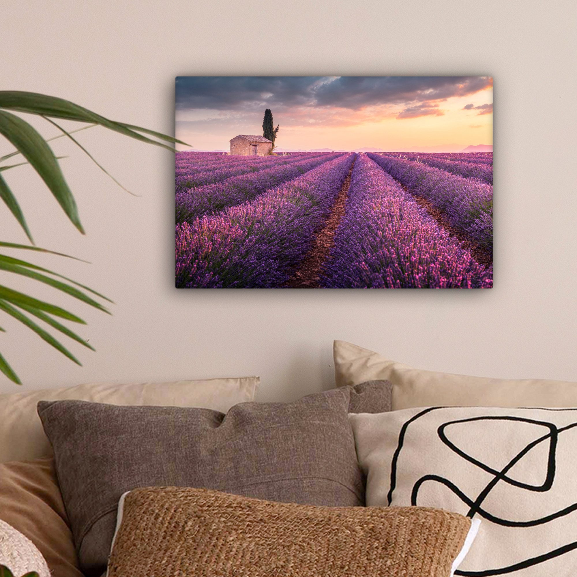 OneMillionCanvasses® Leinwandbild Lavendel - Blumen - günstig online kaufen