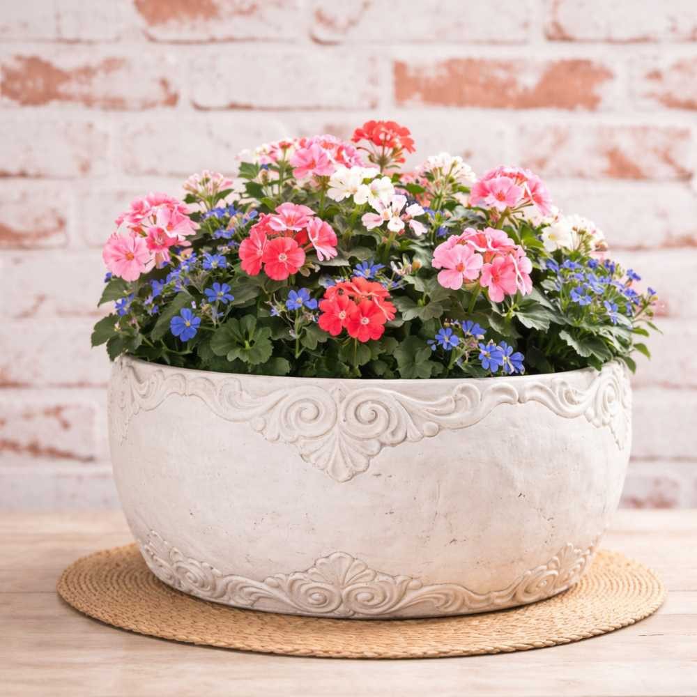AltoBelli Blumentopf AltoBelli Blumentopf ADELINA Schale Zement Antik Grau Patina 24x12 cm
