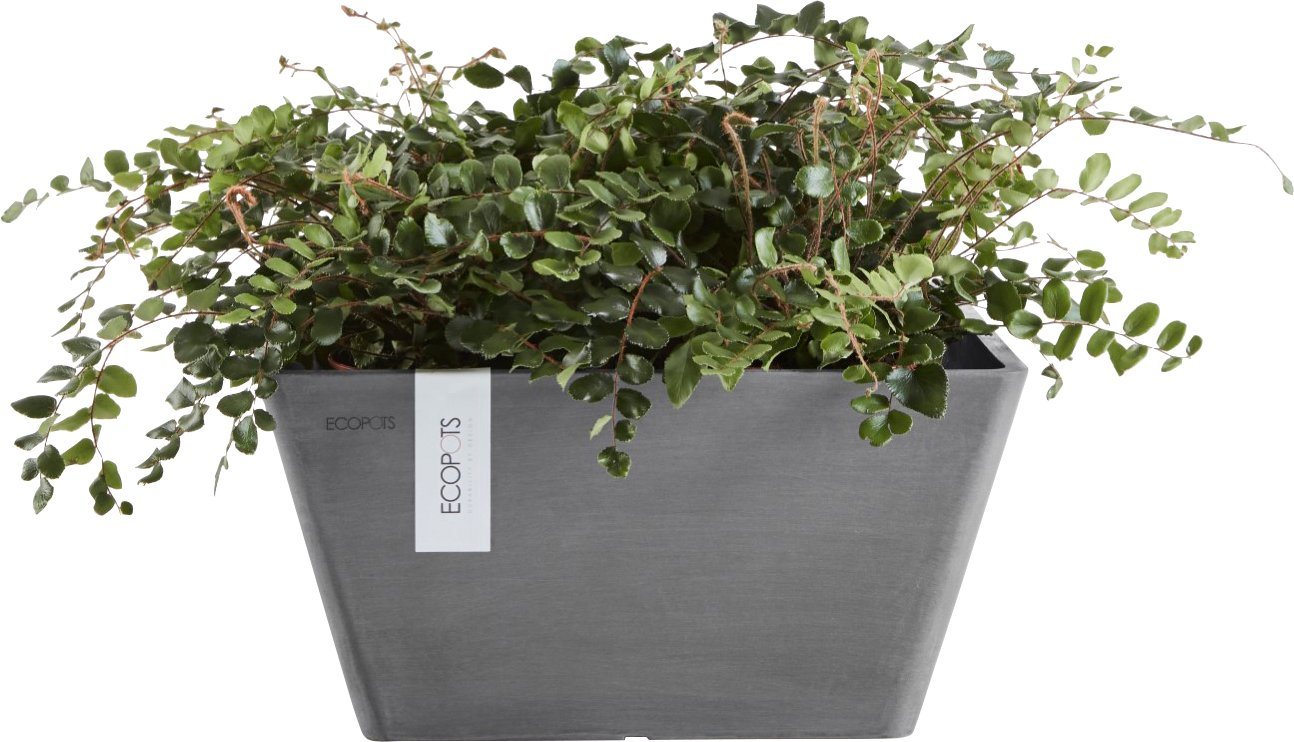 Thumbnail - ECOPOTS Blumentopf BERLIN Grey, BxTxH: 41x41x18 cm