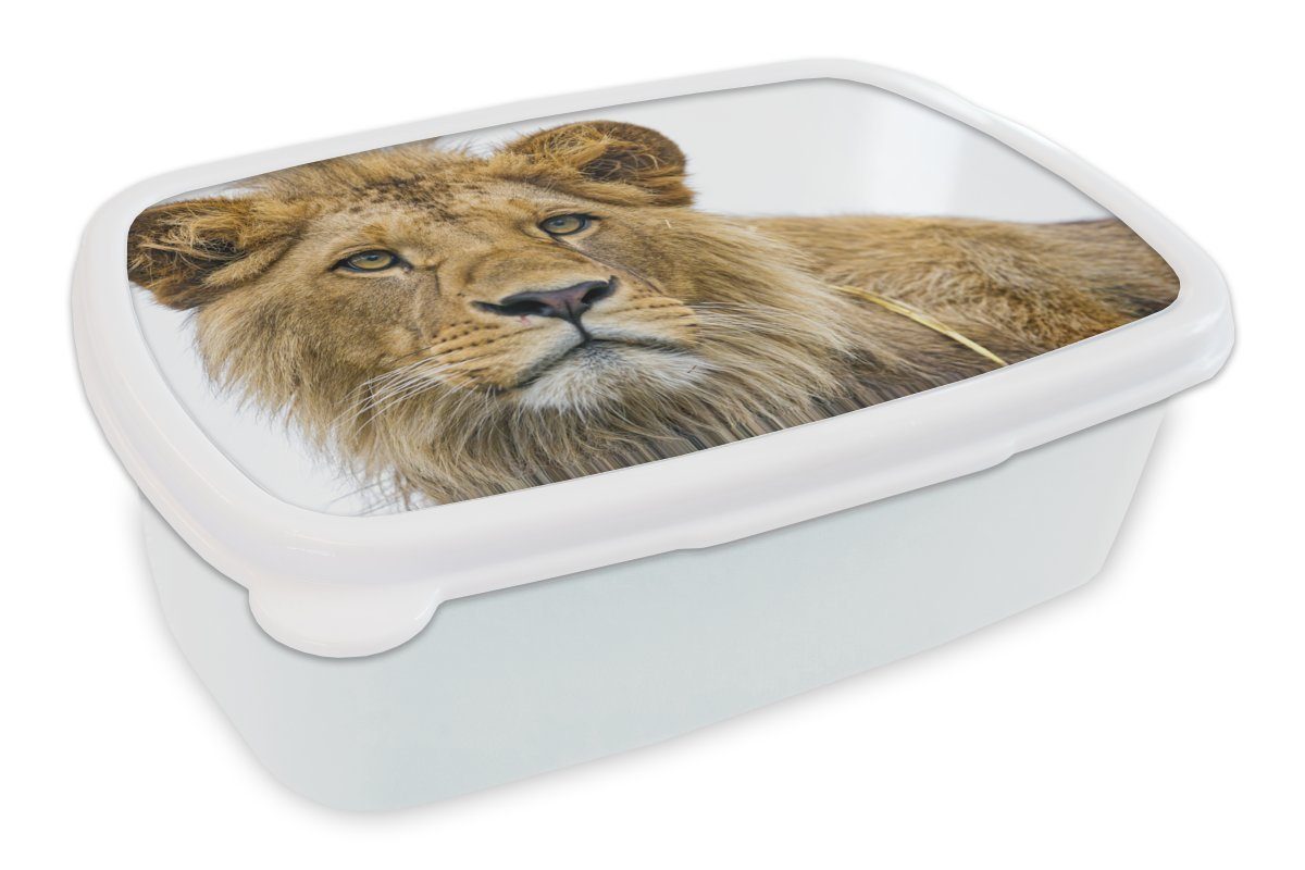 MuchoWow Lunchbox Löwe - Weiß Brotbox - für und Brotdose, für Erwachsene, (2-tlg), Jungs Porträt, Kinder Kunststoff, und Mädchen