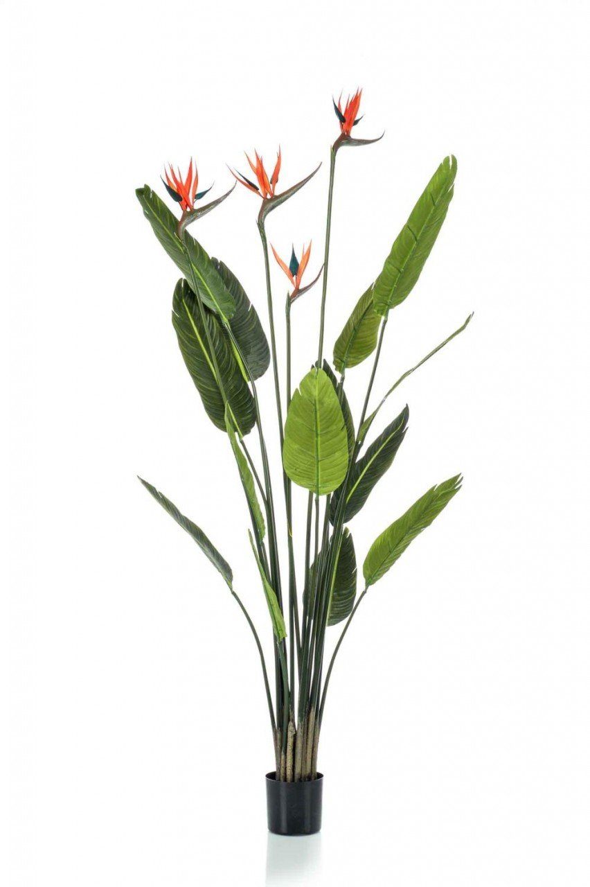 Kunstpflanze, Emerald Eternal Green, Höhe 155 cm, Mehrfarbig H:155cm D:13cm Kunststoff