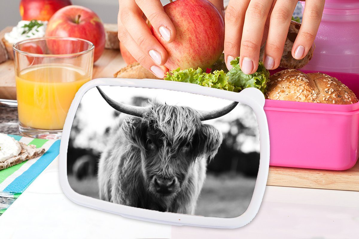 MuchoWow Lunchbox Schottischer Highlander Kinder, Brotbox - (2-tlg), Mädchen, Gras Kunststoff rosa Tiere Kuh Brotdose Snackbox, Kunststoff, - - Erwachsene, Natur, für 