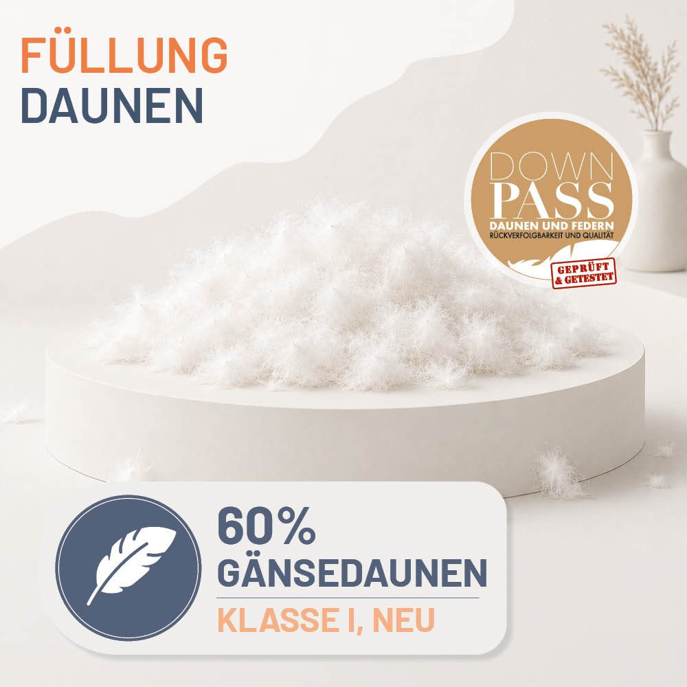 casimum Daunenkissen FIRST CLASS Daunenkissen 80x80, Kopfkissen 40x80, weich & kuschelig, Füllung: 60% Gänsedaunen / 40% Gänsefedern, Klasse 1, Downpass zertifiziert, Bezug: 100 % Baumwolle, Seitenschläfer, Rückenschläfer, hergestellt in Deutschland, für Allergiker geeignet, 80x80cm, 40x80cm