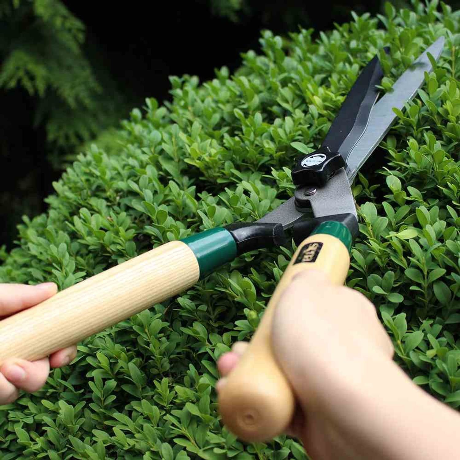 Thumbnail - Siena Garden Heckenschere Heckenschere Wellenschliff Gartenschere Astschere Rosenschere Schere G