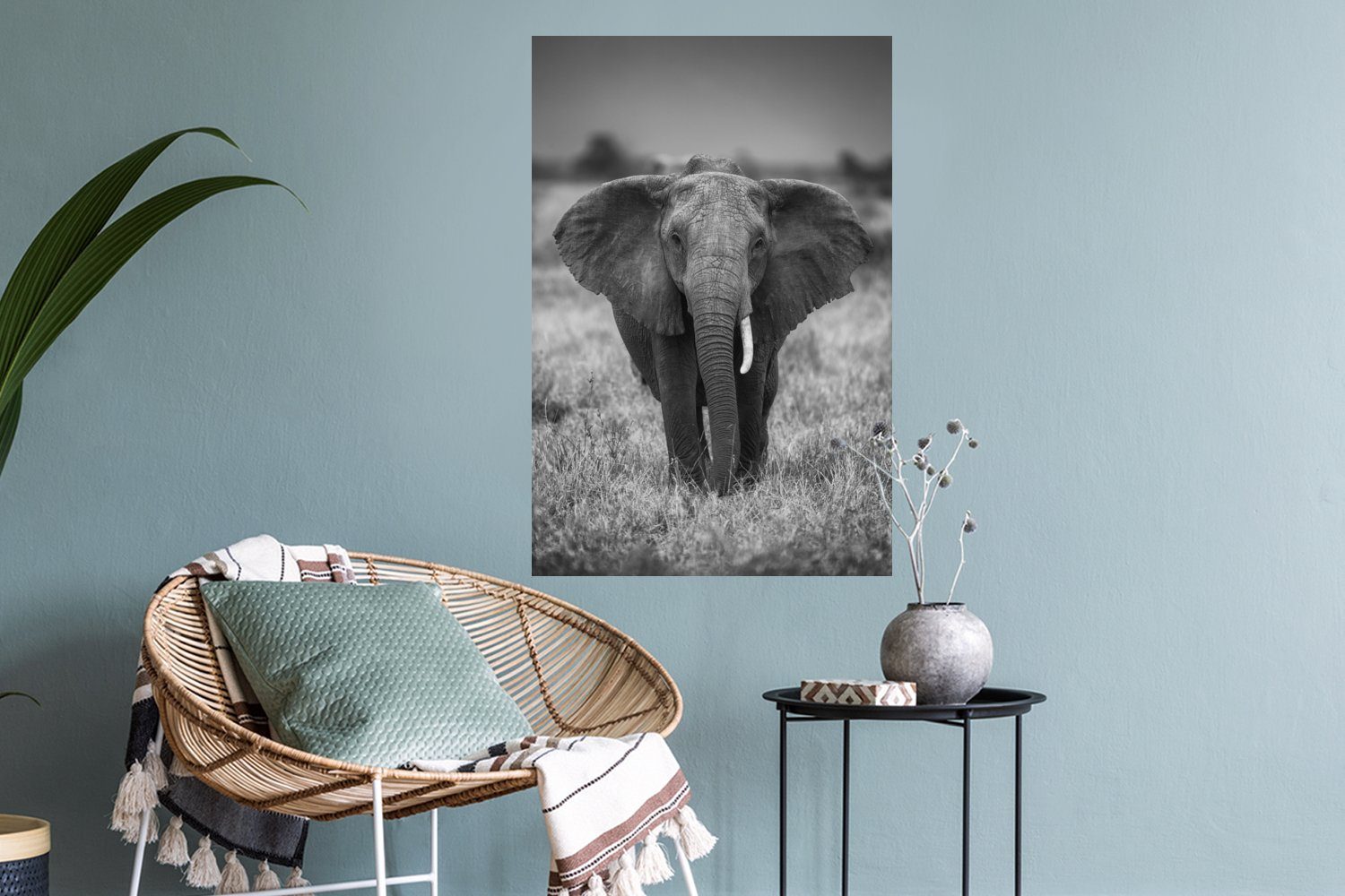 Wandsticker Elefant Wildtiere (1 St), Tiere Wohnzimmer, Selbstklebend, - Schlafzimmer MuchoWow - - Safari Wandtattoo, Wandaufkleber,