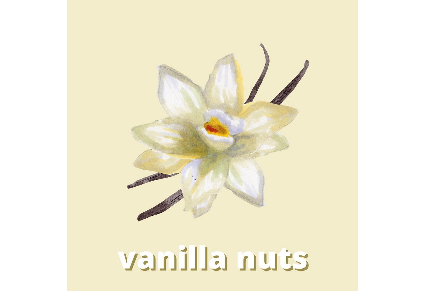 Thumbnail - DistrEbution Duftöl Vanilla Nuts Duftstoff für Kerzen & Kosmetik, Duft für Kerzen und Kosmetik