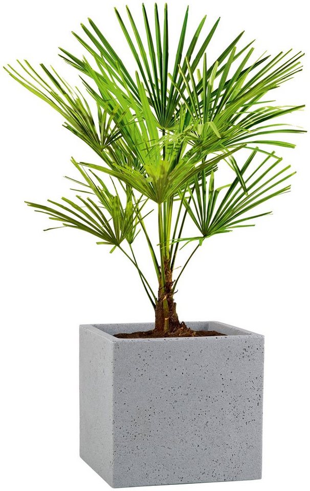 Thumbnail - Scheurich Blumentopf 30/240 C-CUBE
