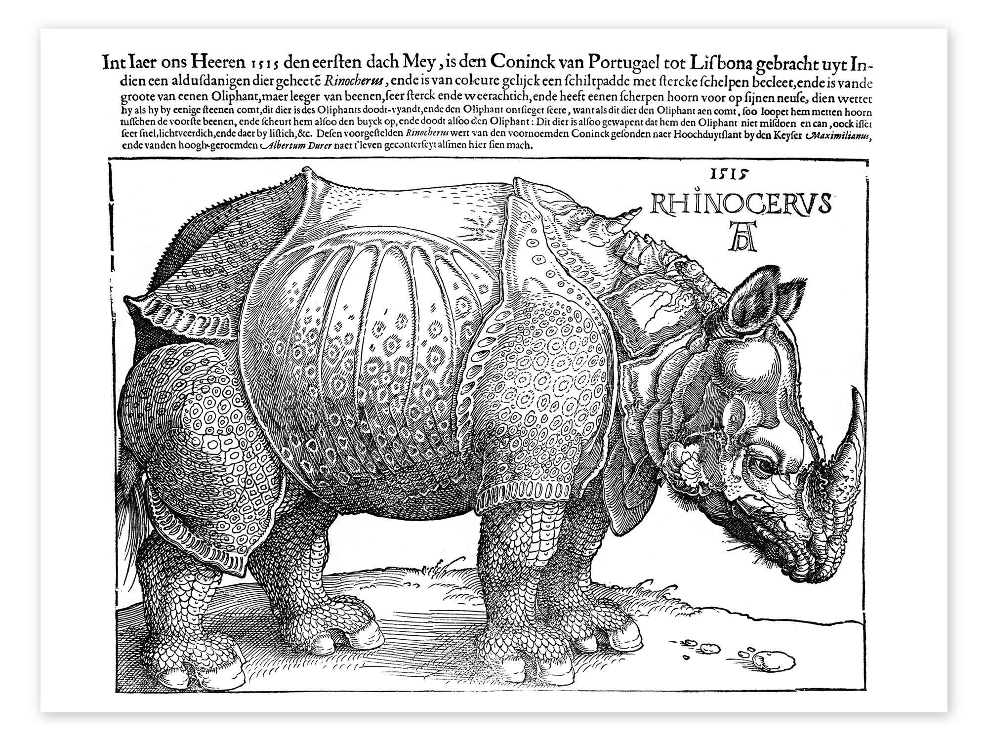 Poster Albrecht Dürer