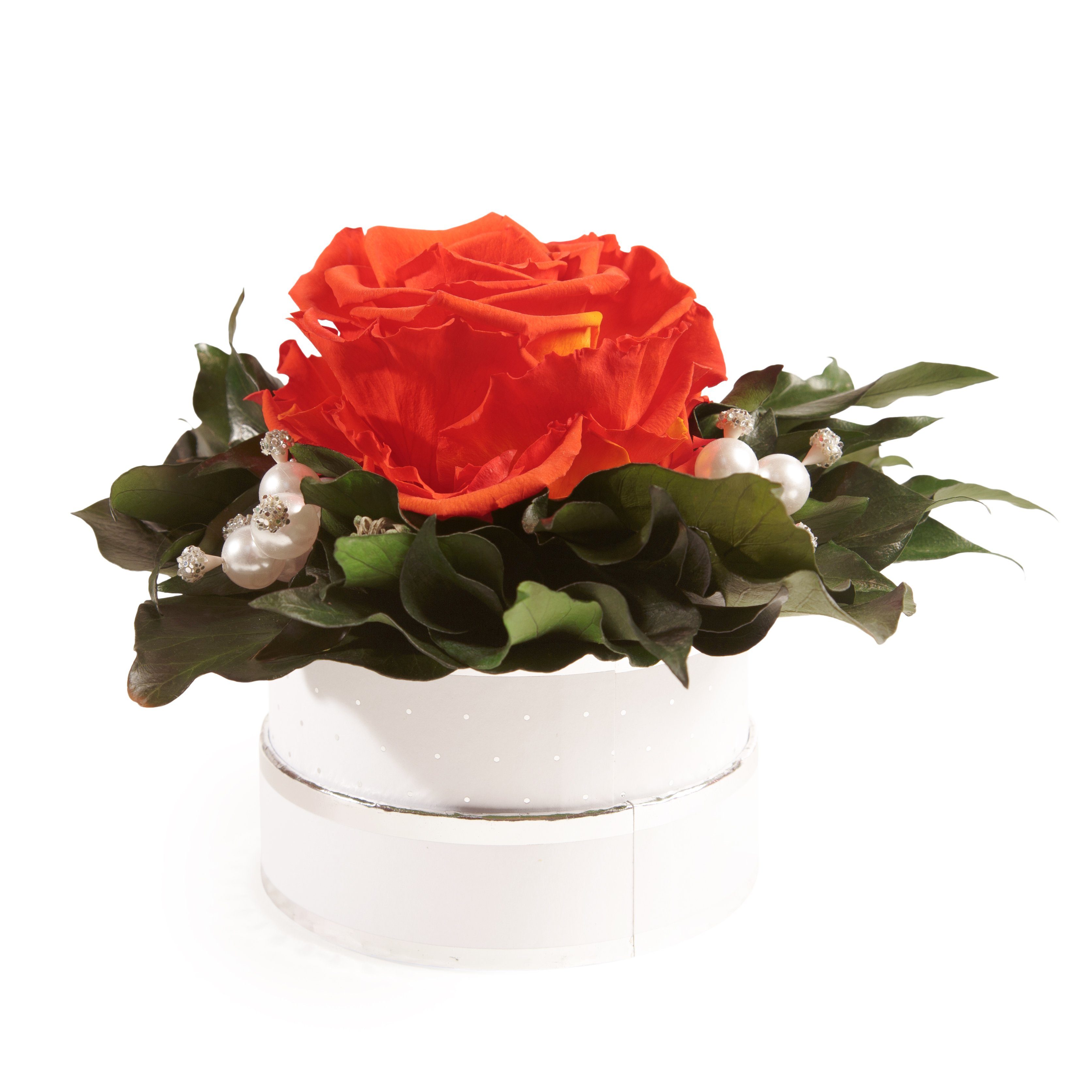 Kunstblume Infinity Rosenbox Diamonds and Pearls günstig online kaufen