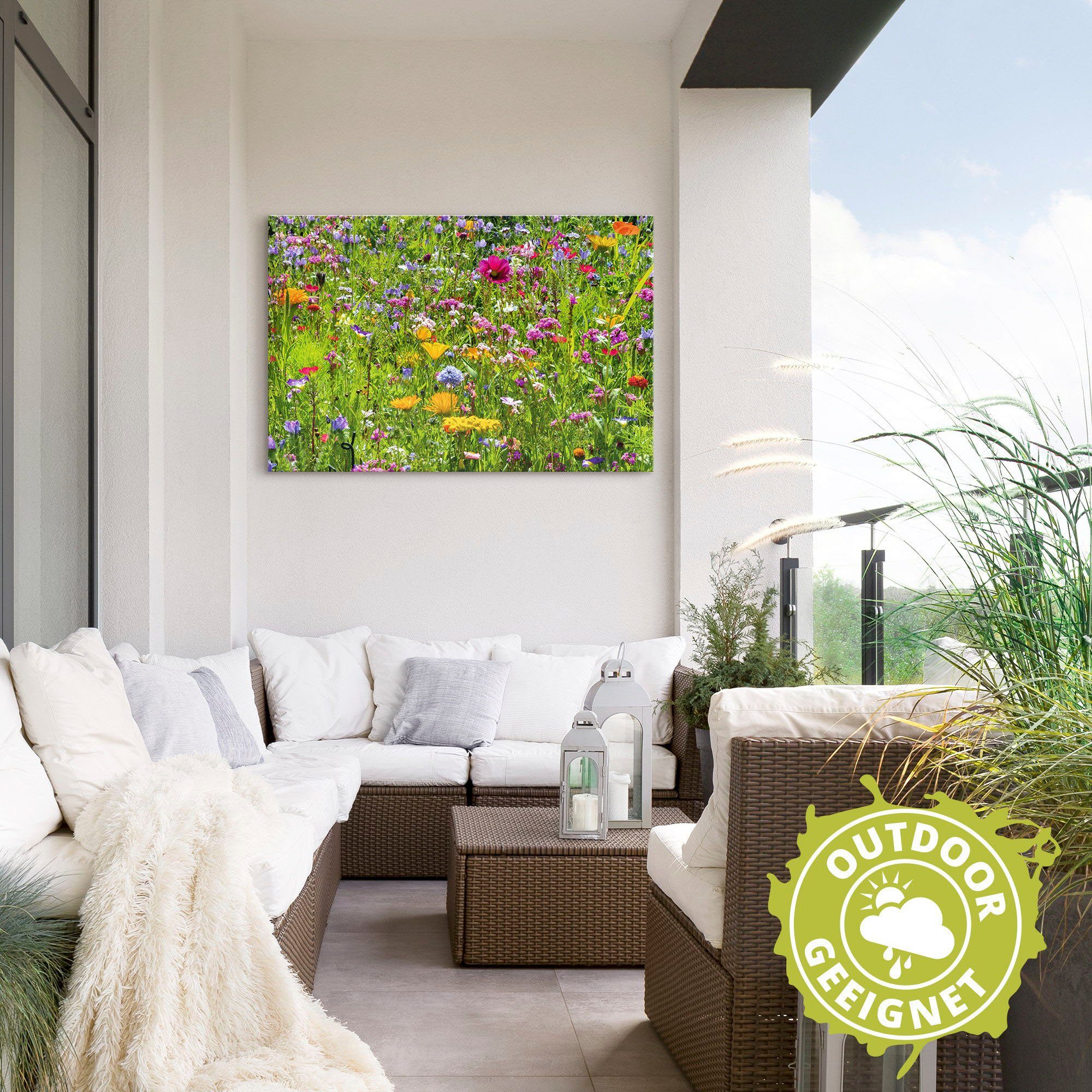 Artland Wandbild »Bunte Blumenwiese«, Blumenwiese (1 Stück), in vielen Größen & Produktarten - Alubild / Outdoorbild für den Außenbereich, Leinwandbild, Poster, Wandaufkleber / Wandtattoo auch für Badezimmer geeignet-HomeTrends