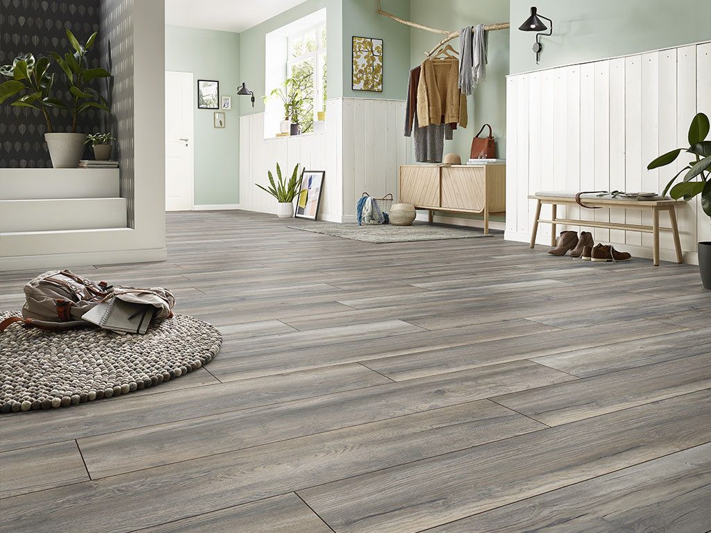 JANGAL Laminat Laminat Jangal 8024 Honey günstig online kaufen