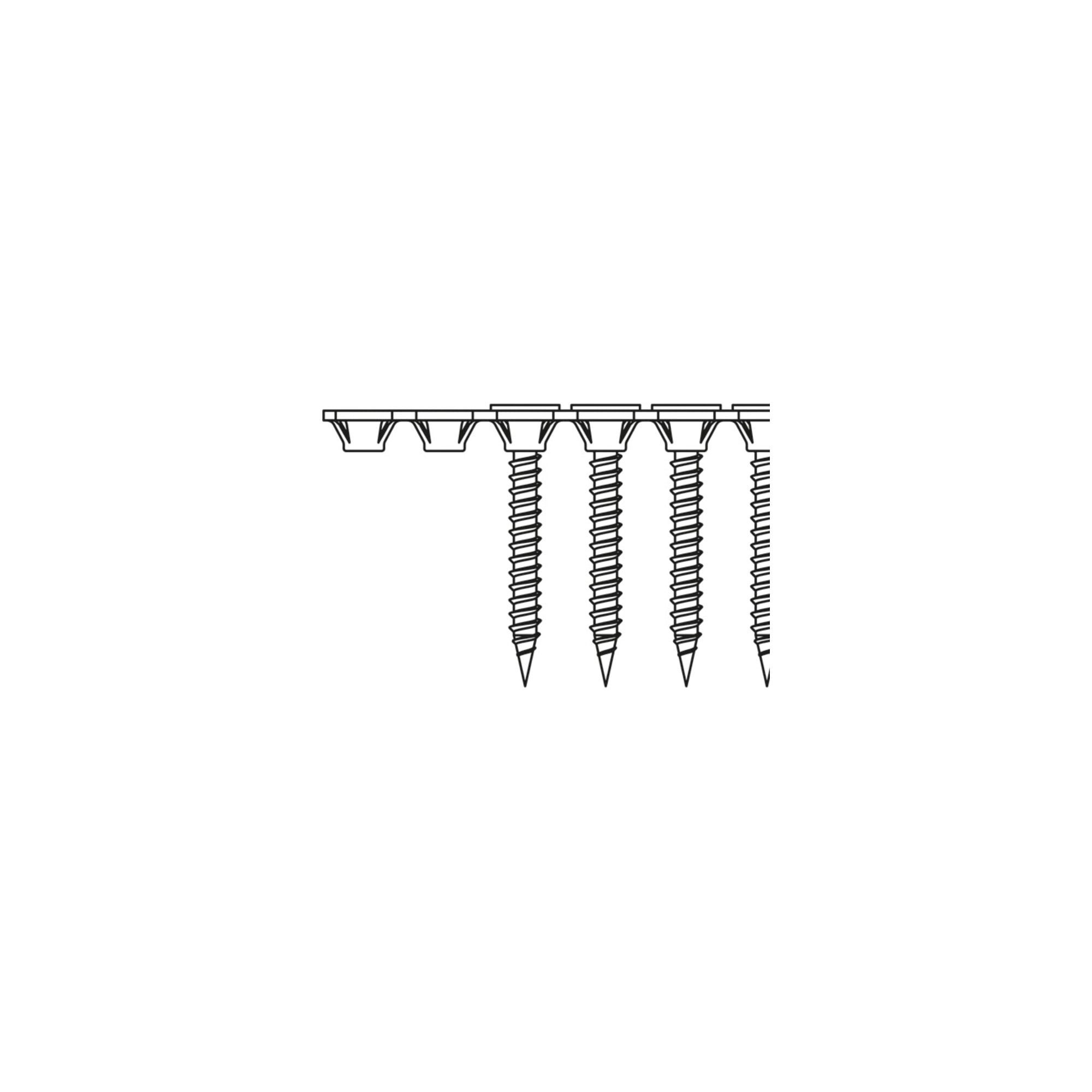Bosch Professional Schnellbauschraube Bosch Schraubenband Fermacellschraube 3,9 x 30 mm G, PH2 1000 Stk