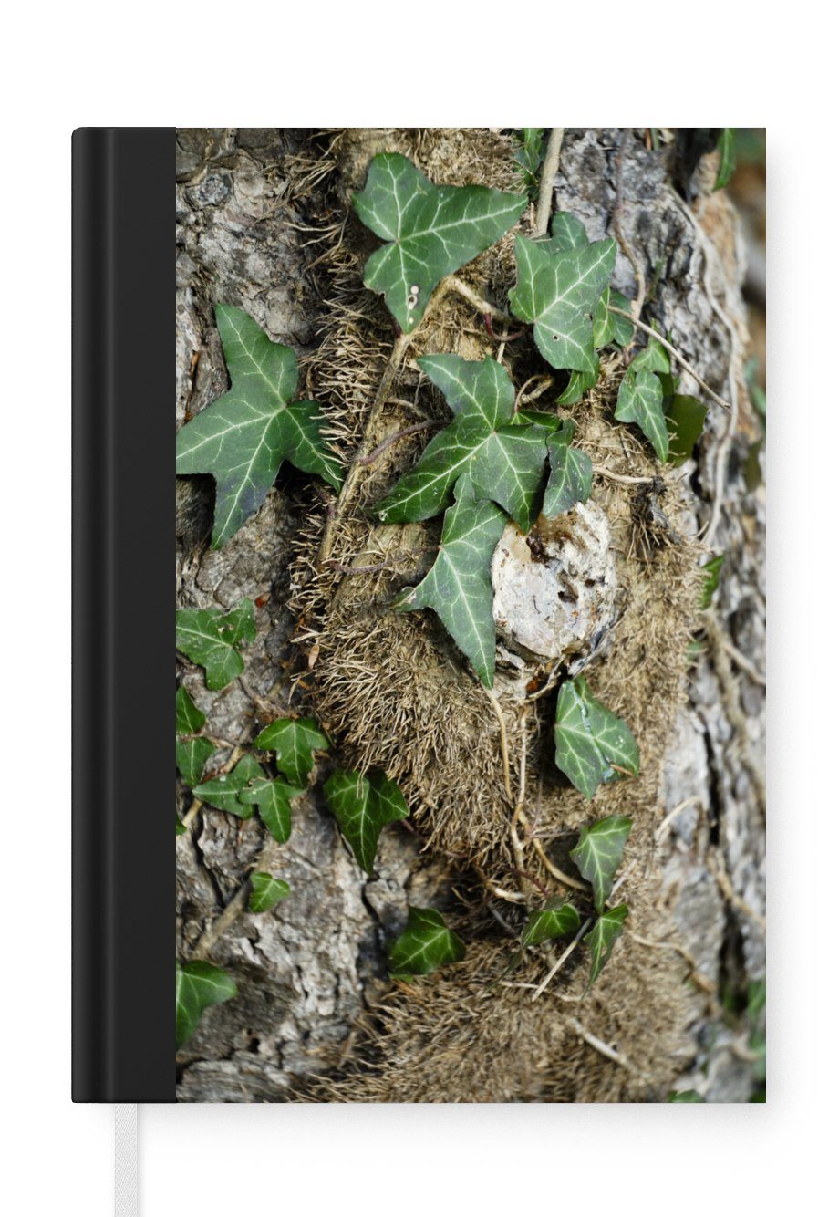 MuchoWow Notizbuch Die grünen Hedera-Blätter an einem Baum, Journal, Merkzettel, Tagebuch, Notizheft, A5, 98 Seiten, Haushaltsbuch
