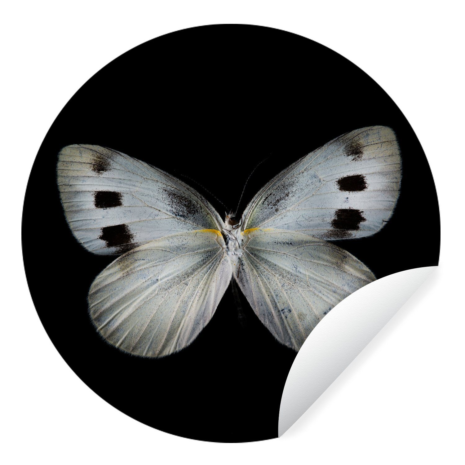 MuchoWow Wandsticker Schmetterling - Insekten - Schwarz (1 St), Tapetenkreis für Kinderzimmer, Tapetenaufkleber, Rund, Wohnzimmer