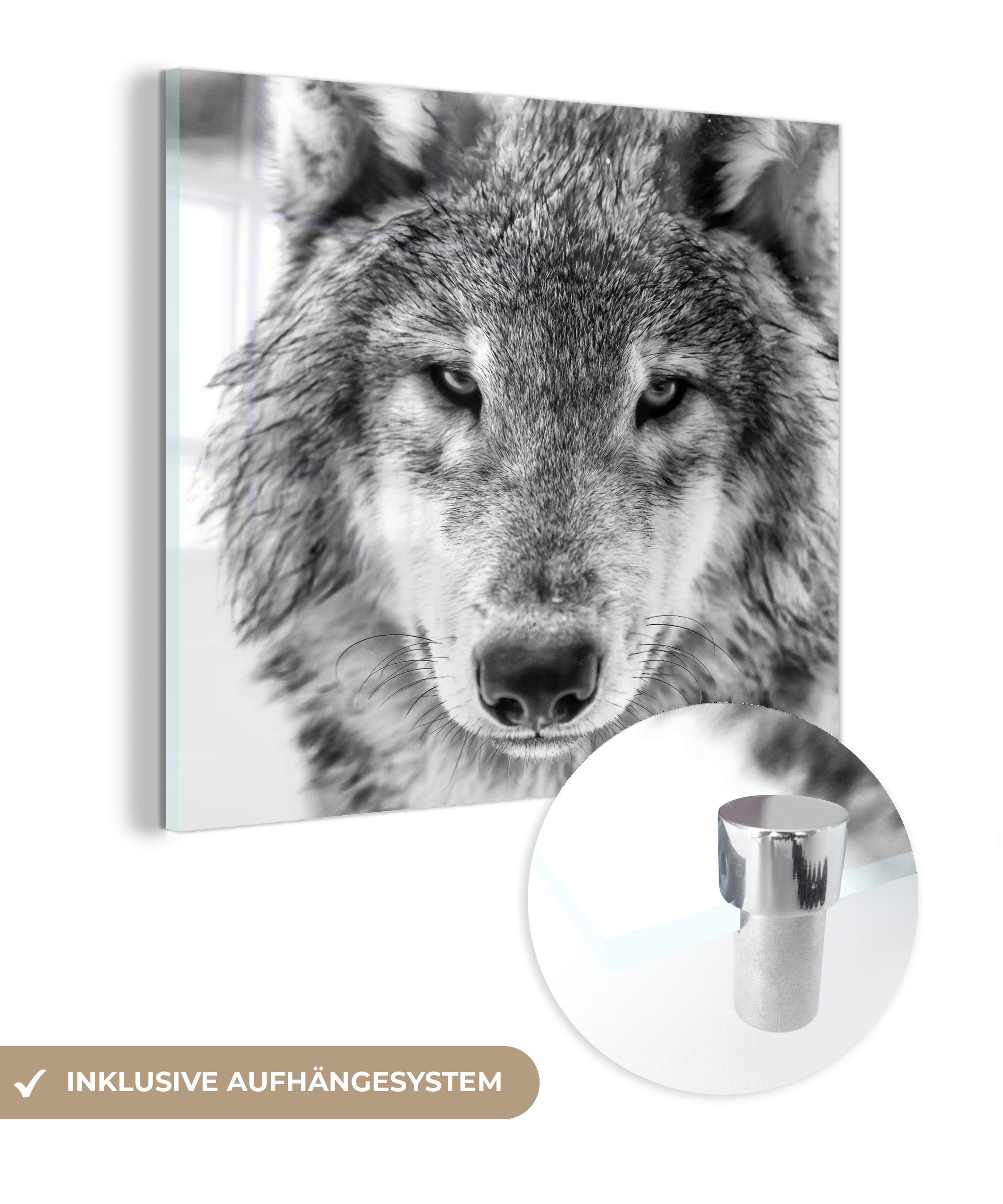 Acrylglasbild Tierprofil Wolf in schwarz und weiß