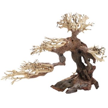 Dupla Aquariendeko Bonsai M - handgefertigte Dekoration für Aquarien