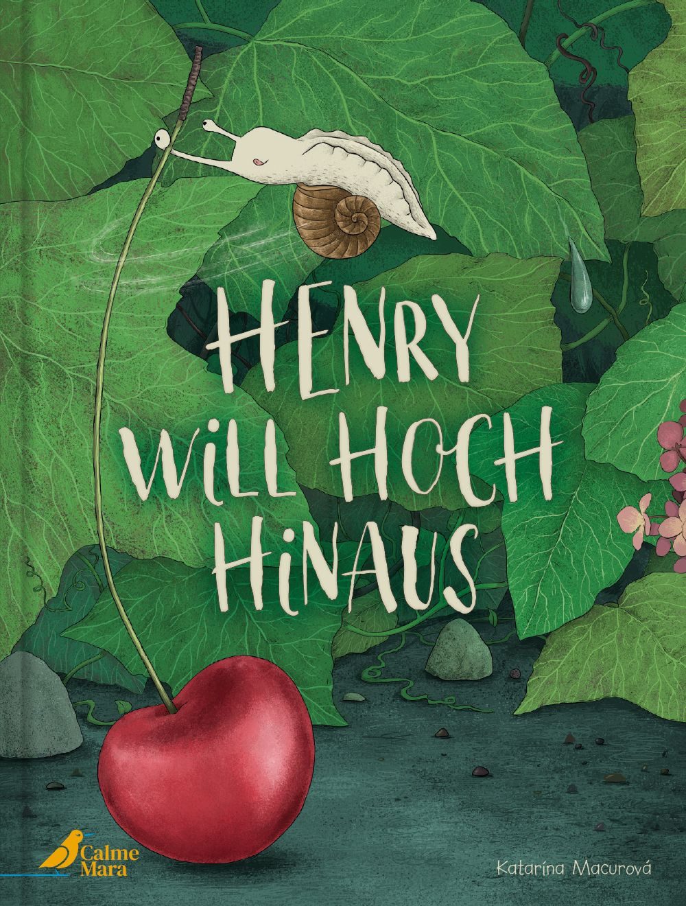 Kinderbuch Henry will hoch hinaus Ein humorvoll inspirierendes Bilderbuch über In Katarína Macurová