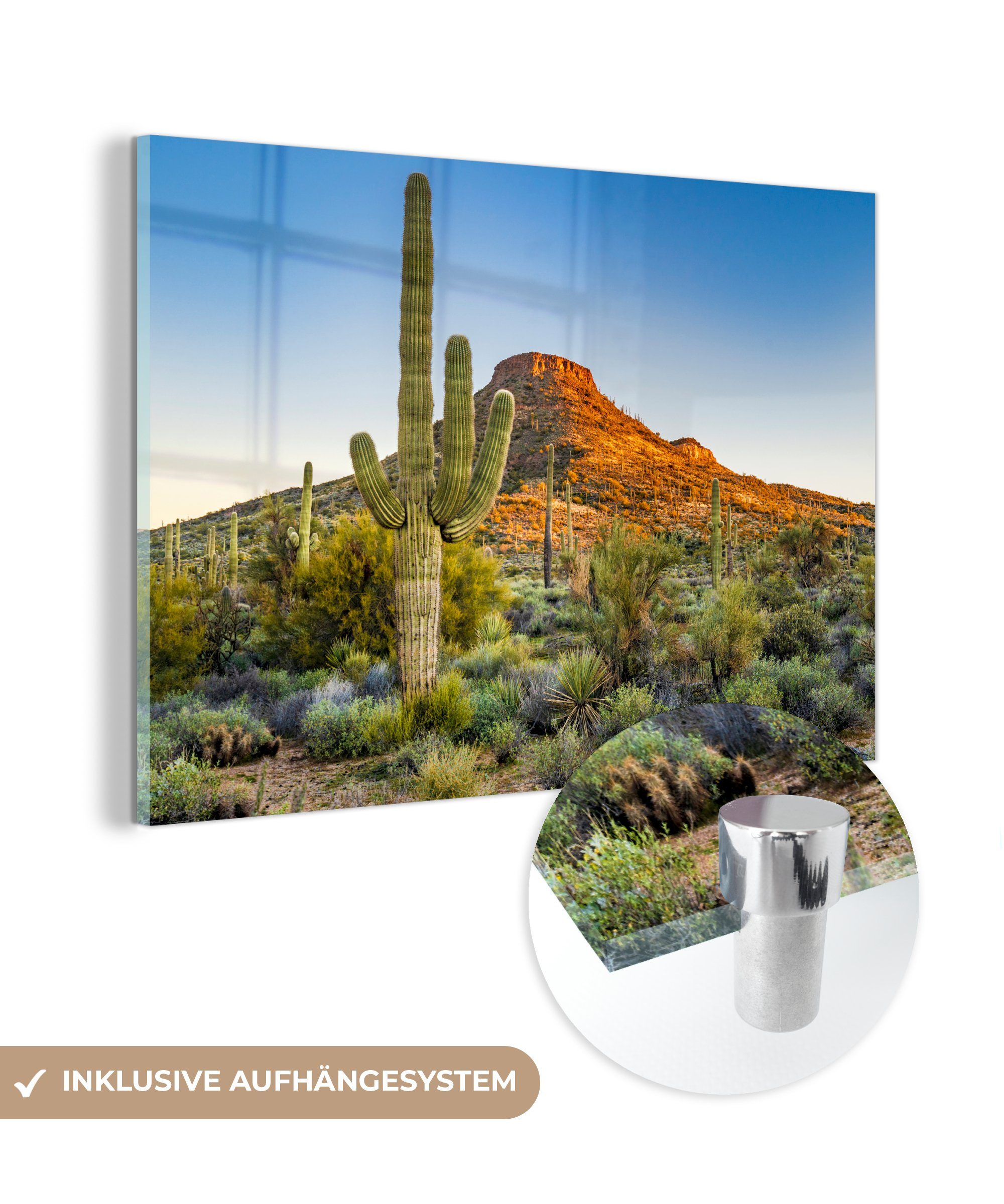 MuchoWow Acrylglasbild Wüste - Kaktus - Pflanzen - Gebirge, (1 St), Acrylglasbilder Wohnzimmer & Schlafzimmer