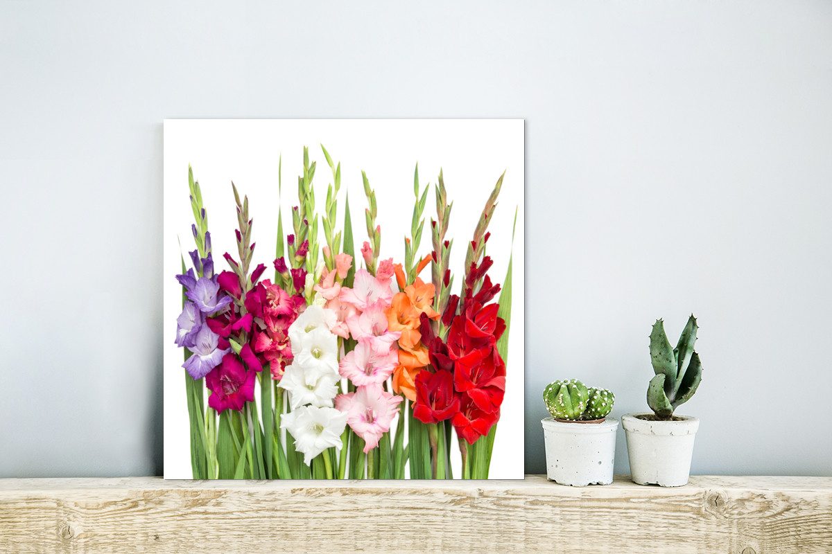 MuchoWow Metallbild Gladiolen - Blumen - günstig online kaufen
