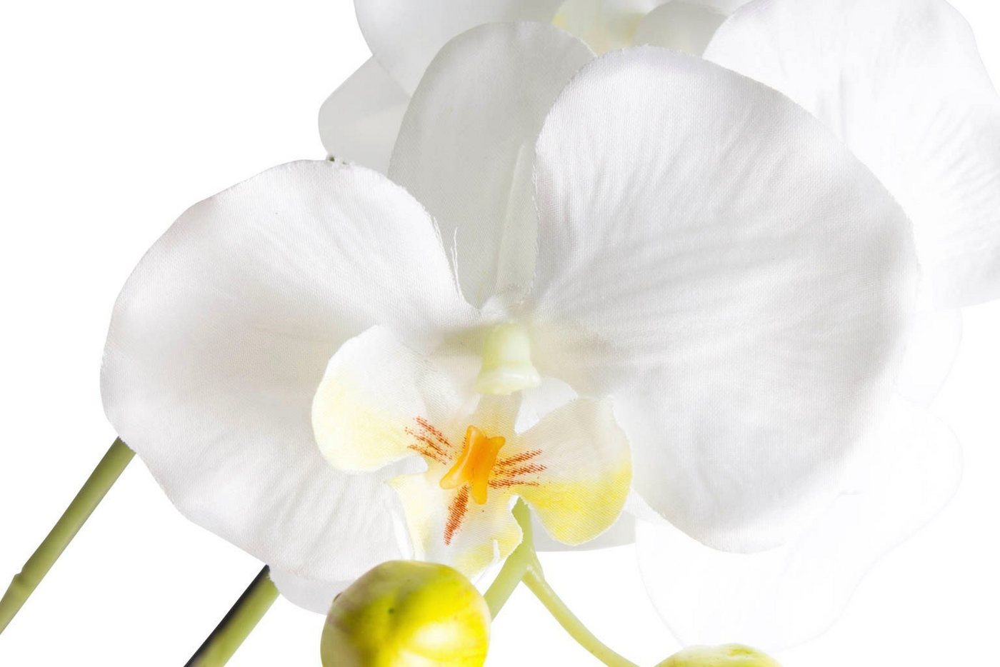 Kunstorchidee »Orchidee« Orchidee, Botanic-Haus, Höhe 75 cm-HomeTrends
