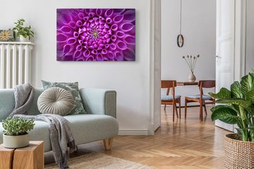 Sinus Art Leinwandbild 120x80cm Wandbild auf Leinwand Dahlie Blume Violett Nahaufnahme Kunstv, (1 St)