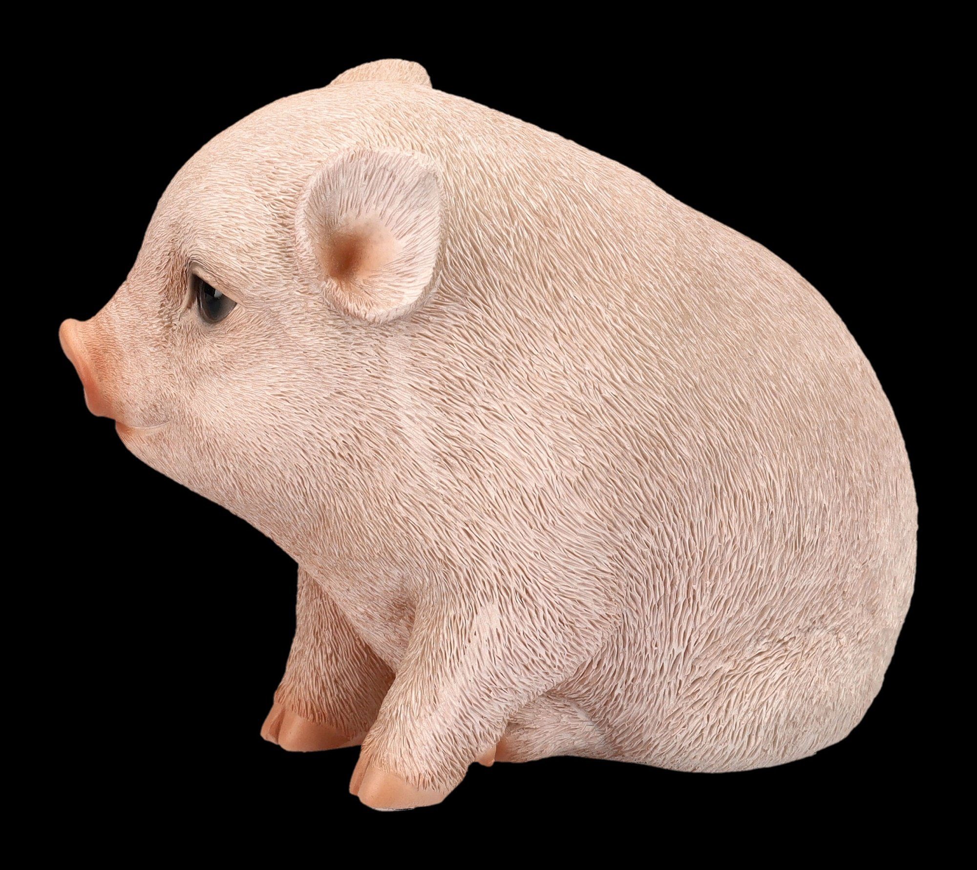 Bauernhof Dekoration - Figuren - Baby Figur Dekofigur Shop GmbH Tierfigur Schweinchen Schweine