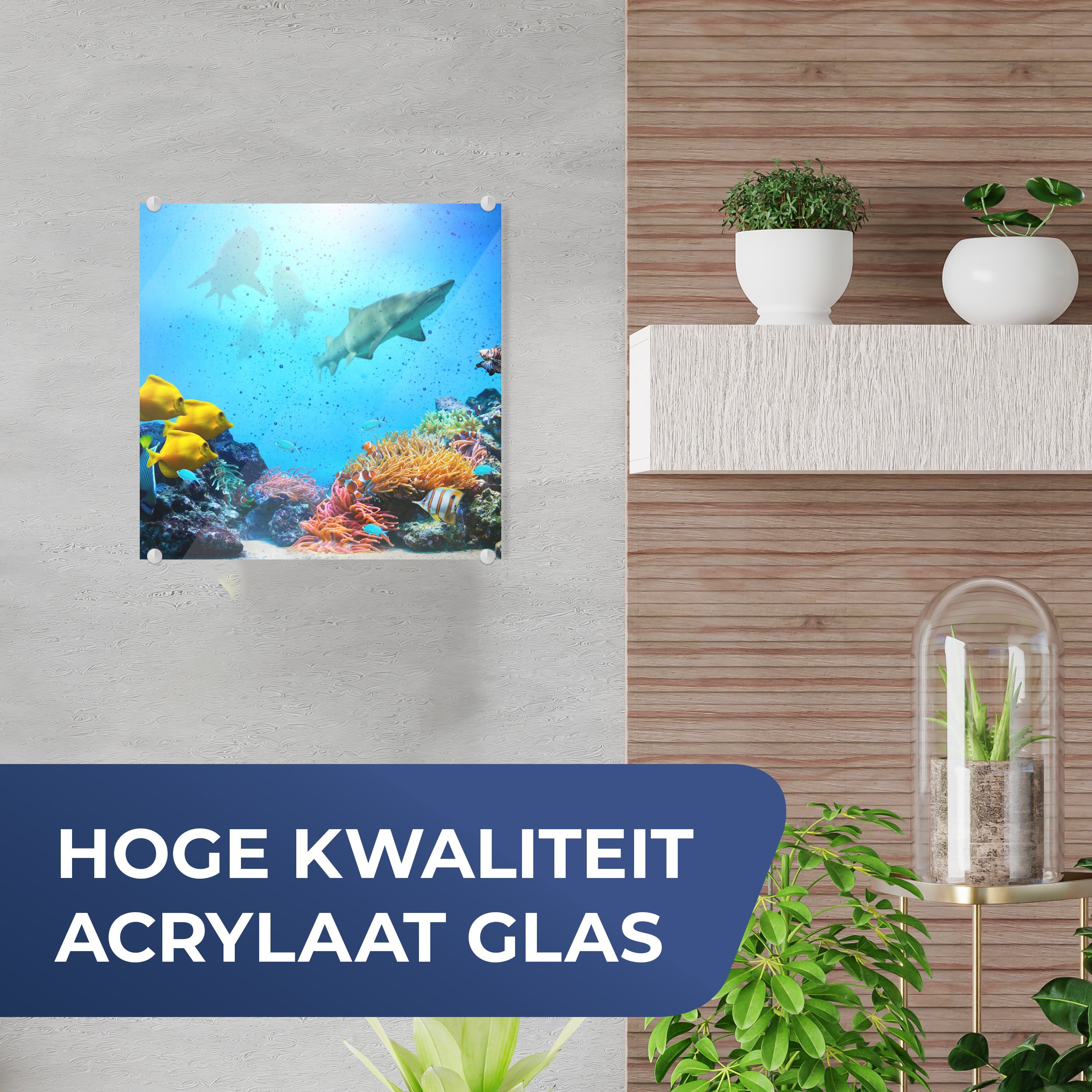 Acrylglasbild - MuchoWow Glasbilder Fische auf St), Farben, (1 Glas Meer Bilder - Glas - auf Foto Wanddekoration - Wandbild -