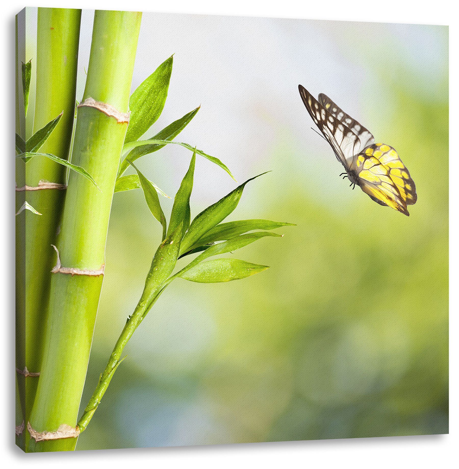 Schmetterling, inkl. Bambus mit mit Pixxprint (1 bespannt, St), Bambus Zackenaufhänger Leinwandbild Schmetterling Leinwandbild fertig