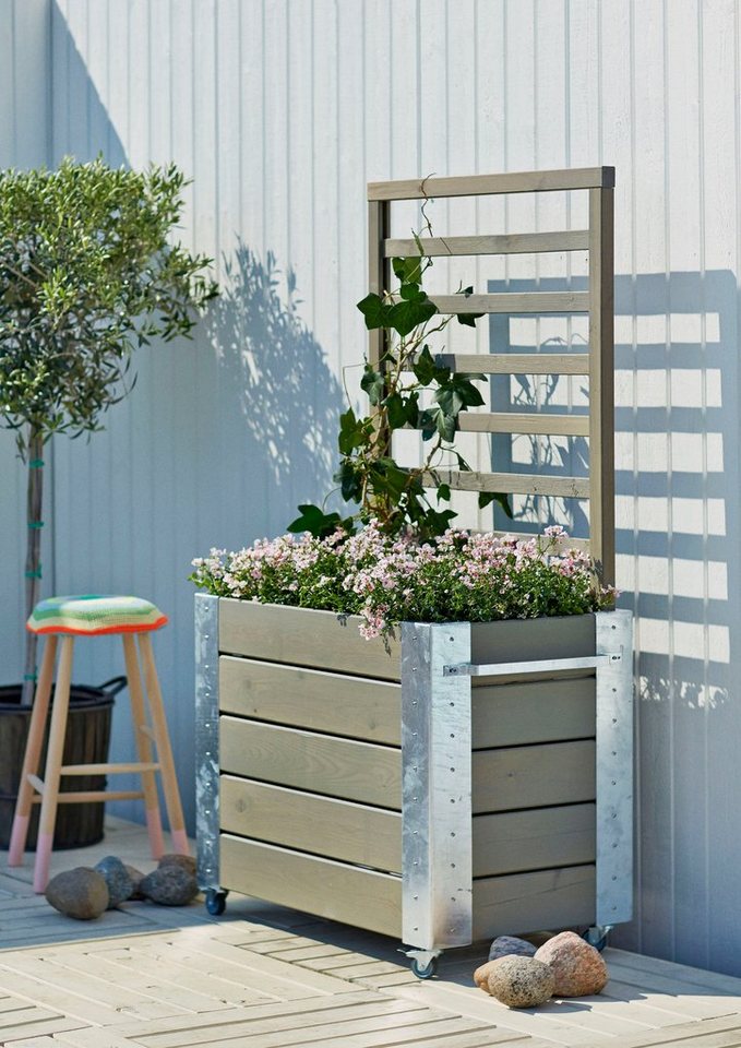 PLUS Blumenkasten Cubic, mit Spalier, BxTxH: 50x87x155 cm, Verschönern Sie  Ihren Garten