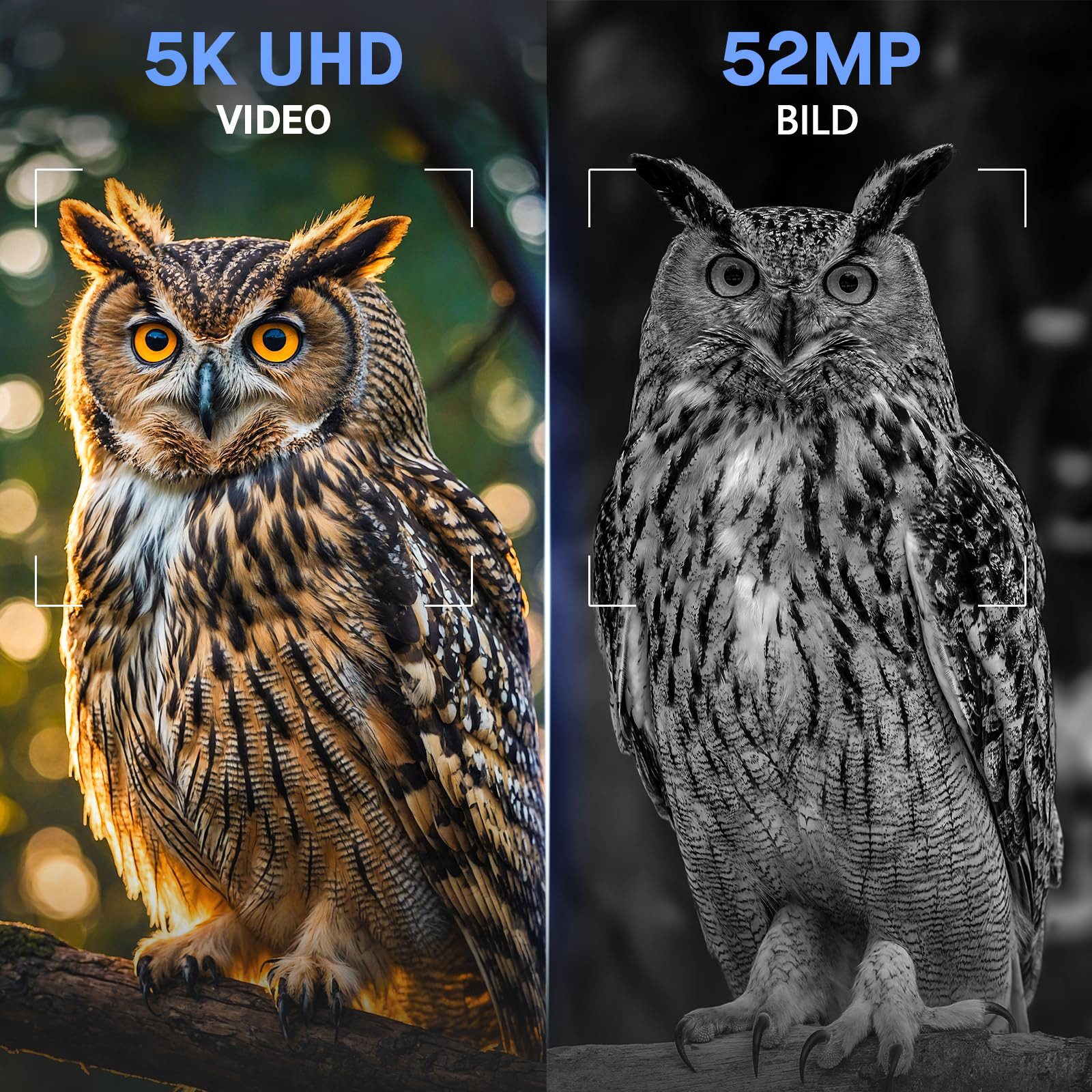 Tekoo Nachtsichtgerät Digitales Nachtsichtgerät 5K Video & 52MP, 800m Sicht, WLAN, 64GB, 5K Ultra HD Videoaufnahme & 52MP Fotos, App-Steuerung