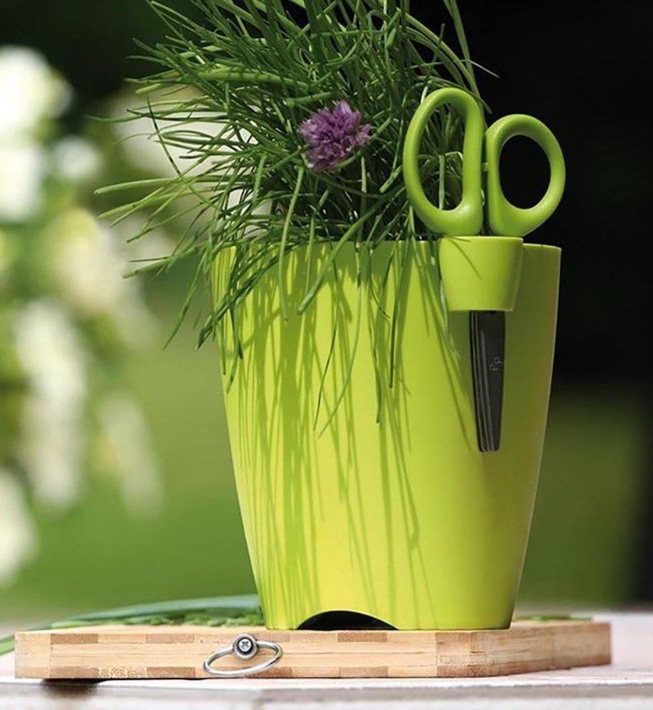 Blumentopf inkl. mit Dreifachklinge Kräuterschere Kräutertopf Grün tegawo Kunststoff Schere UNO Limes (150mm),