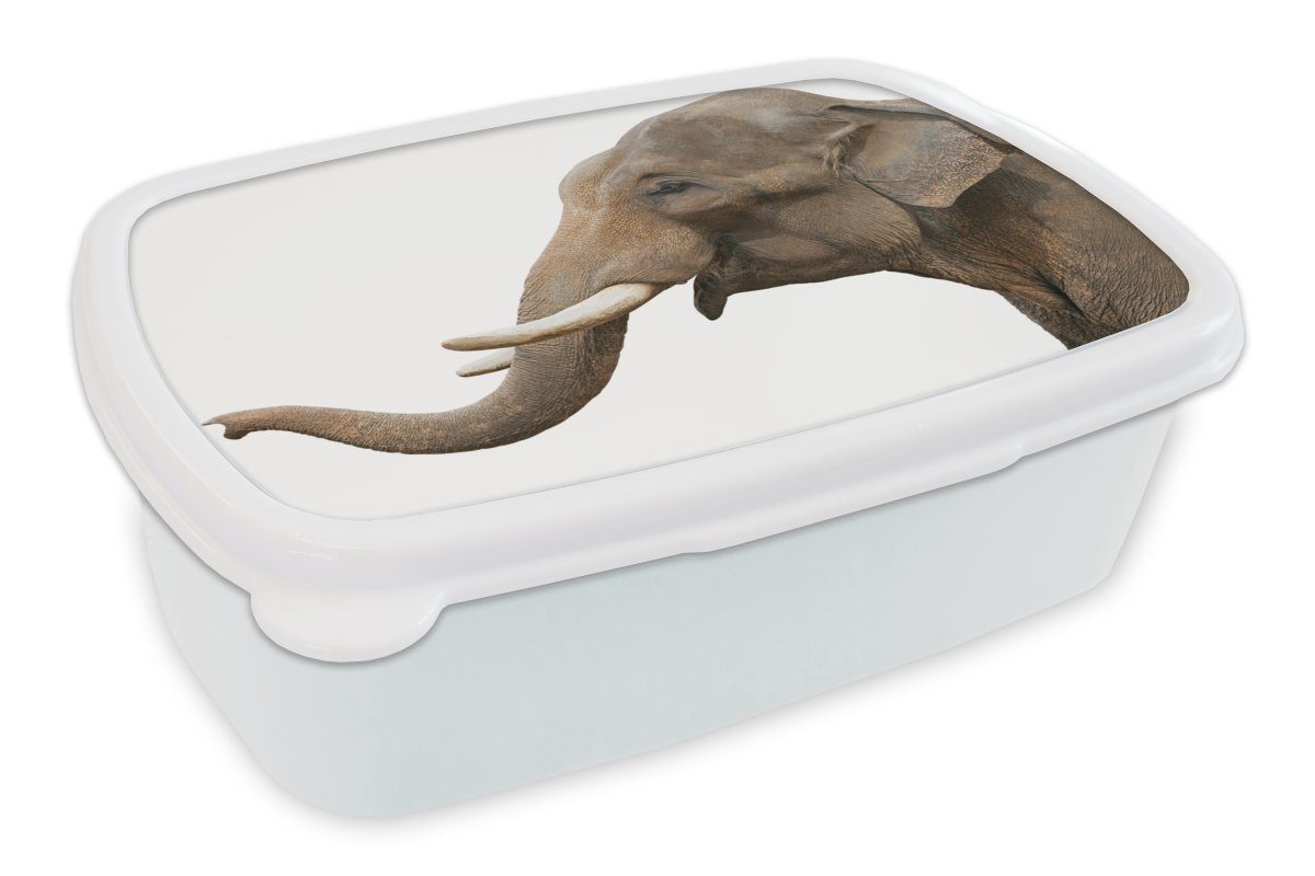 MuchoWow Lunchbox Elefant - Zähne (2-tlg), Jungs für für Weiß, Kunststoff, Brotdose, Kinder Brotbox Mädchen und Erwachsene, - und