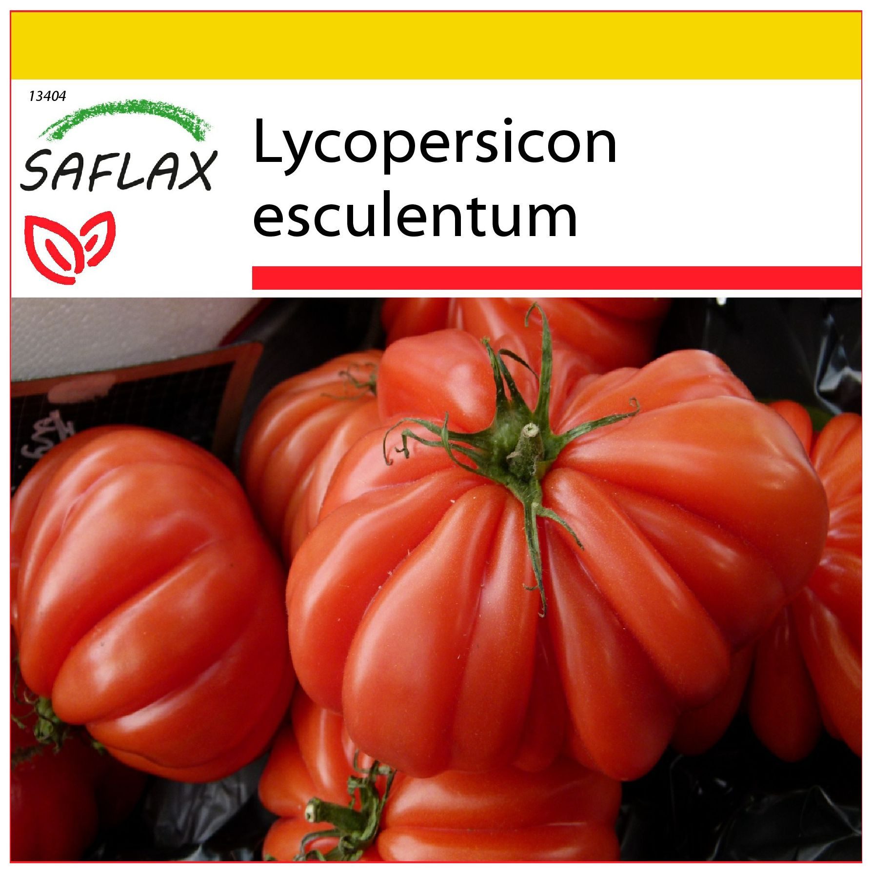 SAFLAX Gemüsesamen SAFLAX - Anzuchtset - Tomate - Costoluto Genovese