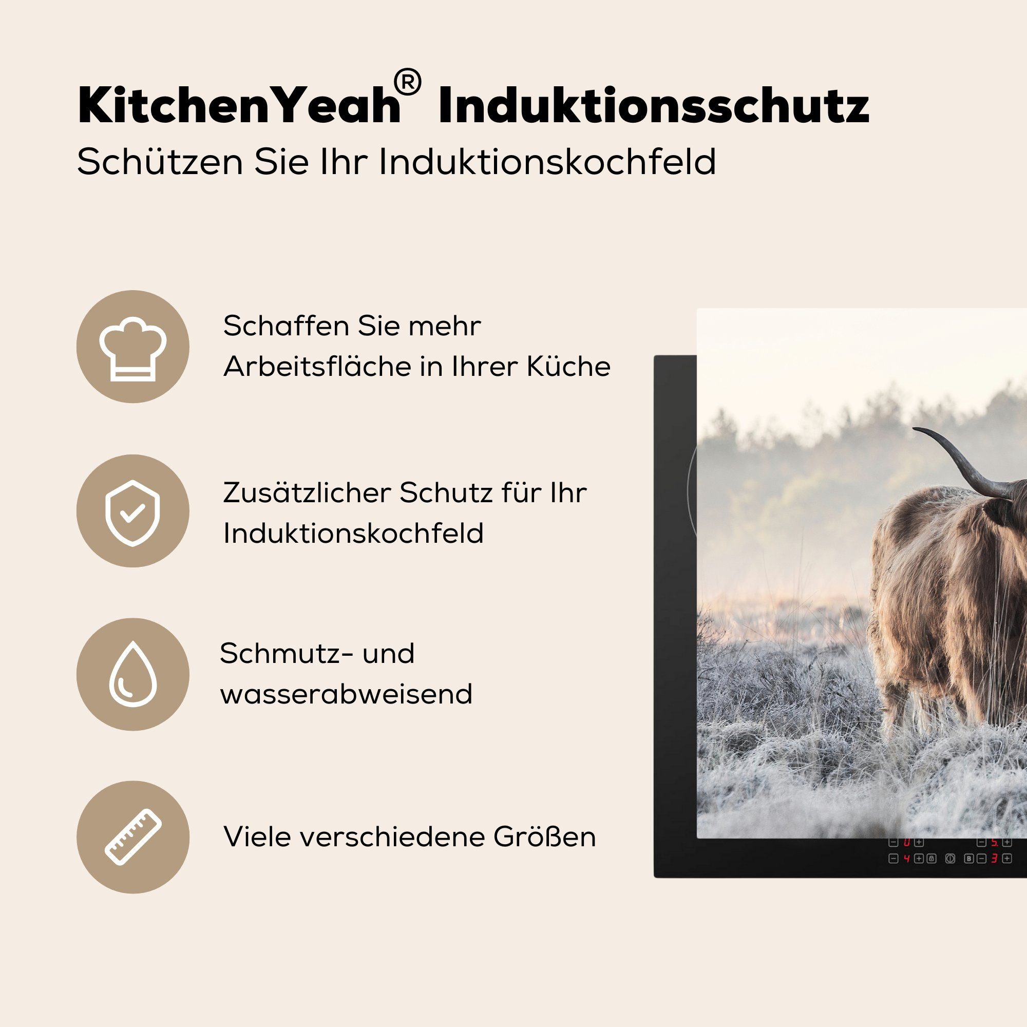 (1 - Ceranfeldabdeckung cm, Schutz MuchoWow Induktionskochfeld 81x52 Tiere, für Highlander die küche, Schottischer - Vinyl, Kalb Herdblende-/Abdeckplatte tlg),