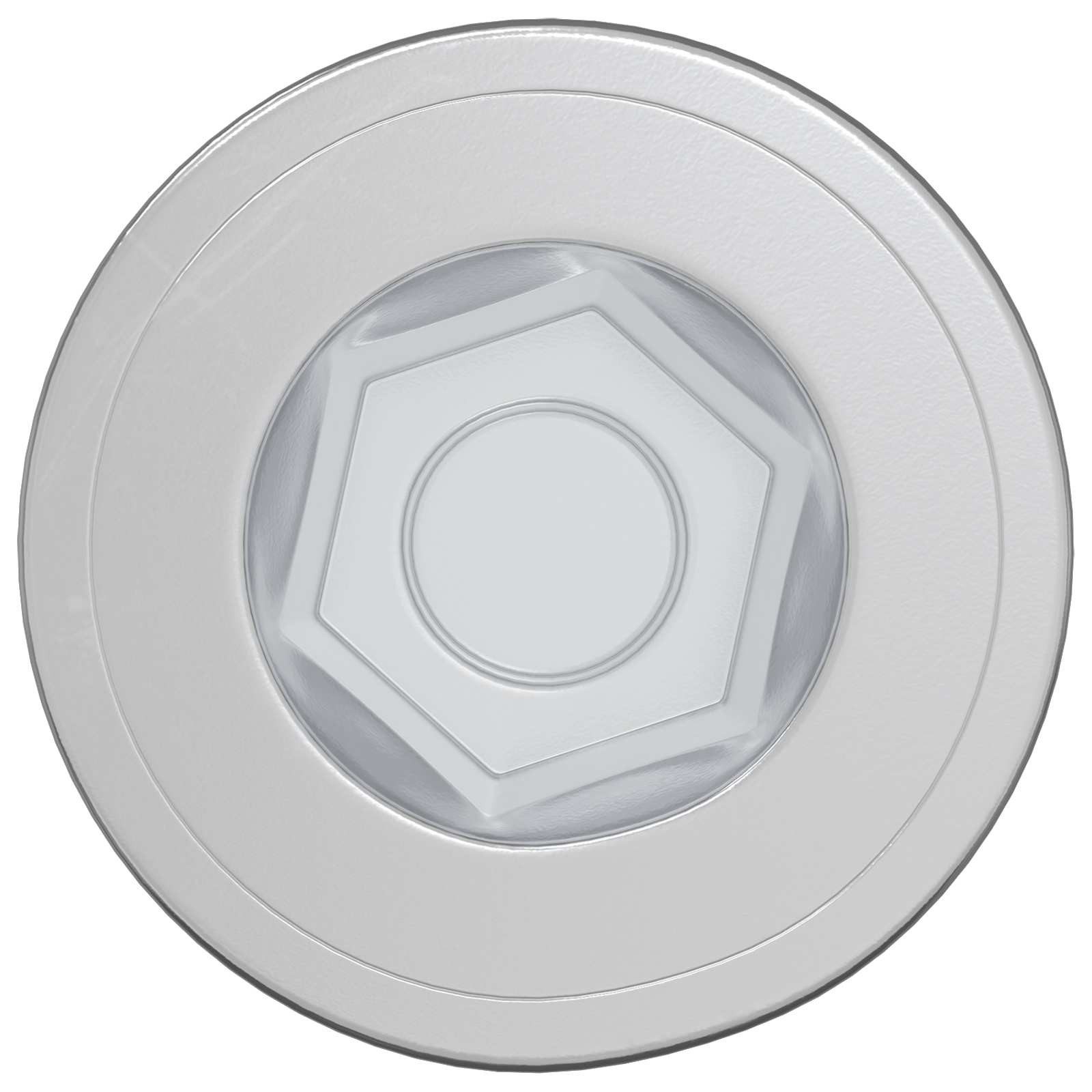 vidaXL Schraube, Confirmat-Schrauben 12 pcs Silber Metall