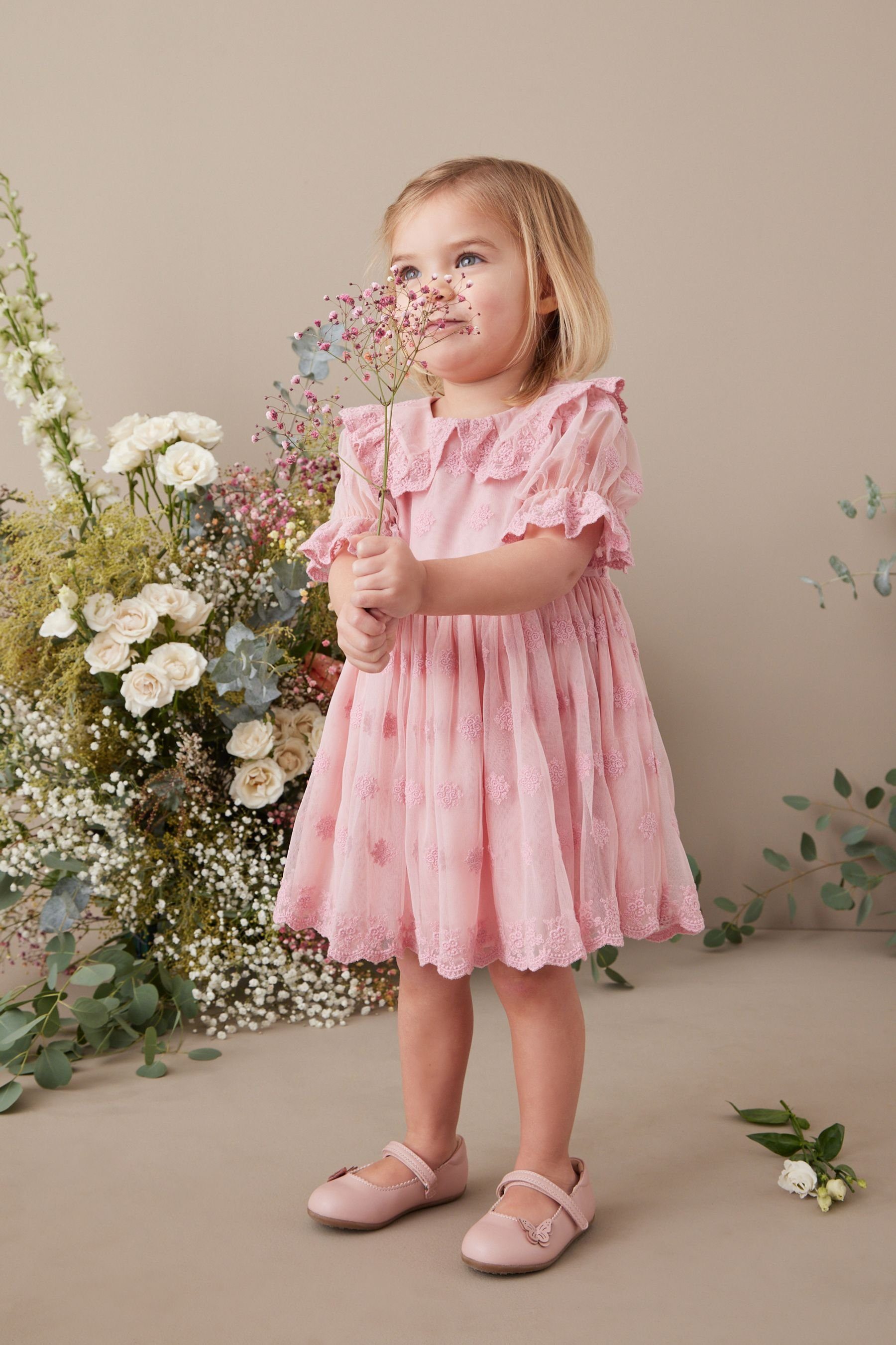 Next Spitzenkleid (1-tlg) Partykleid für besondere Anlässe Pink