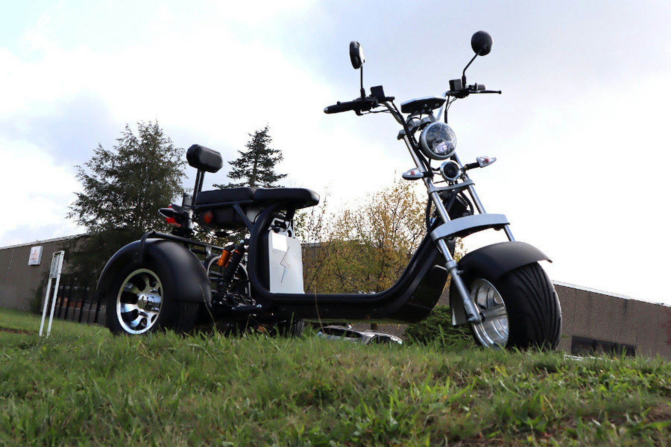 TPFLiving E-Scooter Coco km/h, Farbe: Jahren - ab 35 x Volt/12Ah, Trike Scheibenbremsen Bike 14 Roller elektro - schwarz 1 Fat -Akku: Elektroroller mit 60