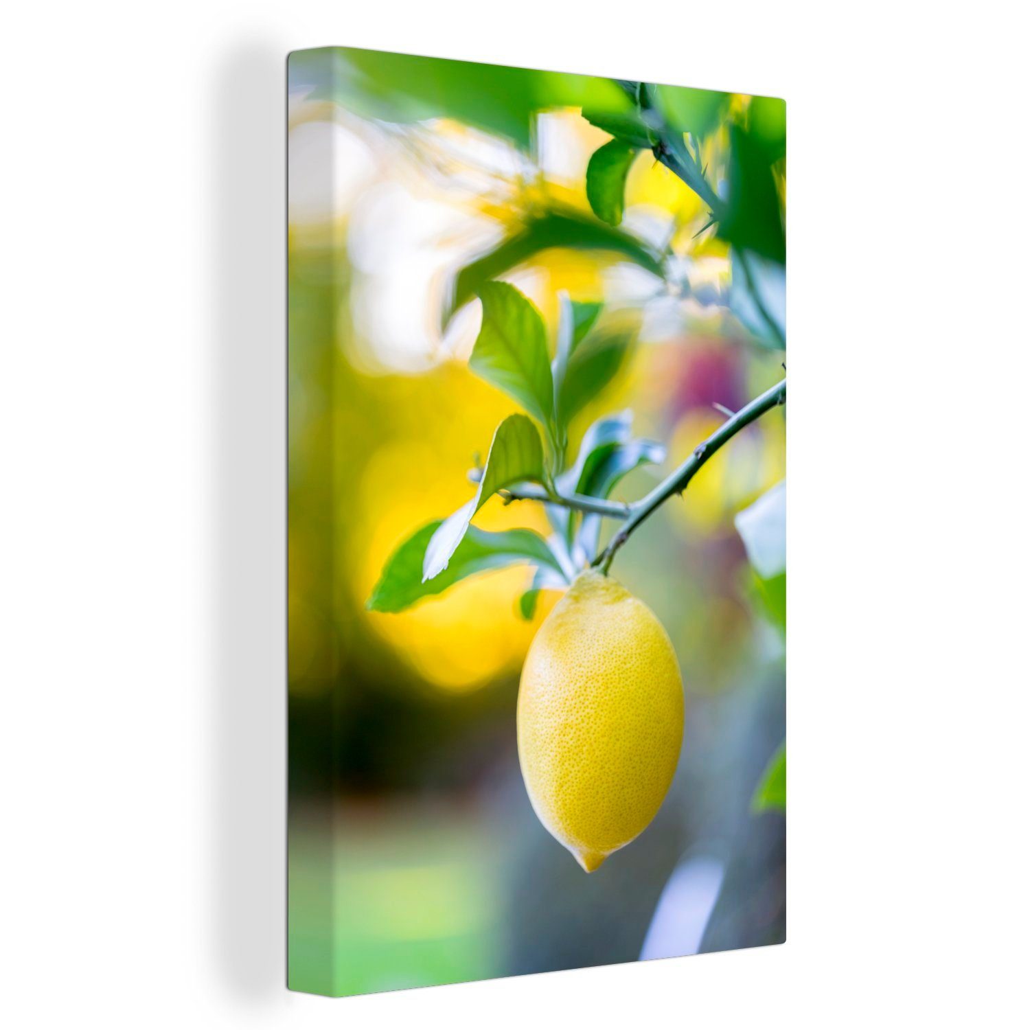 OneMillionCanvasses® Leinwandbild Zitrone hängt als bunter Hintergrund, (1 St), Leinwandbild fertig bespannt inkl. Zackenaufhänger, Gemälde, 20x30 cm