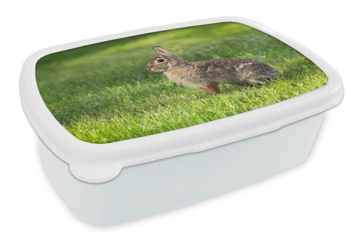 MuchoWow Lunchbox Kaninchen - Gras - Tier, Kunststoff, (2-tlg), Brotbox für Kinder und Erwachsene, Brotdose, für Jungs und Mädchen weiß