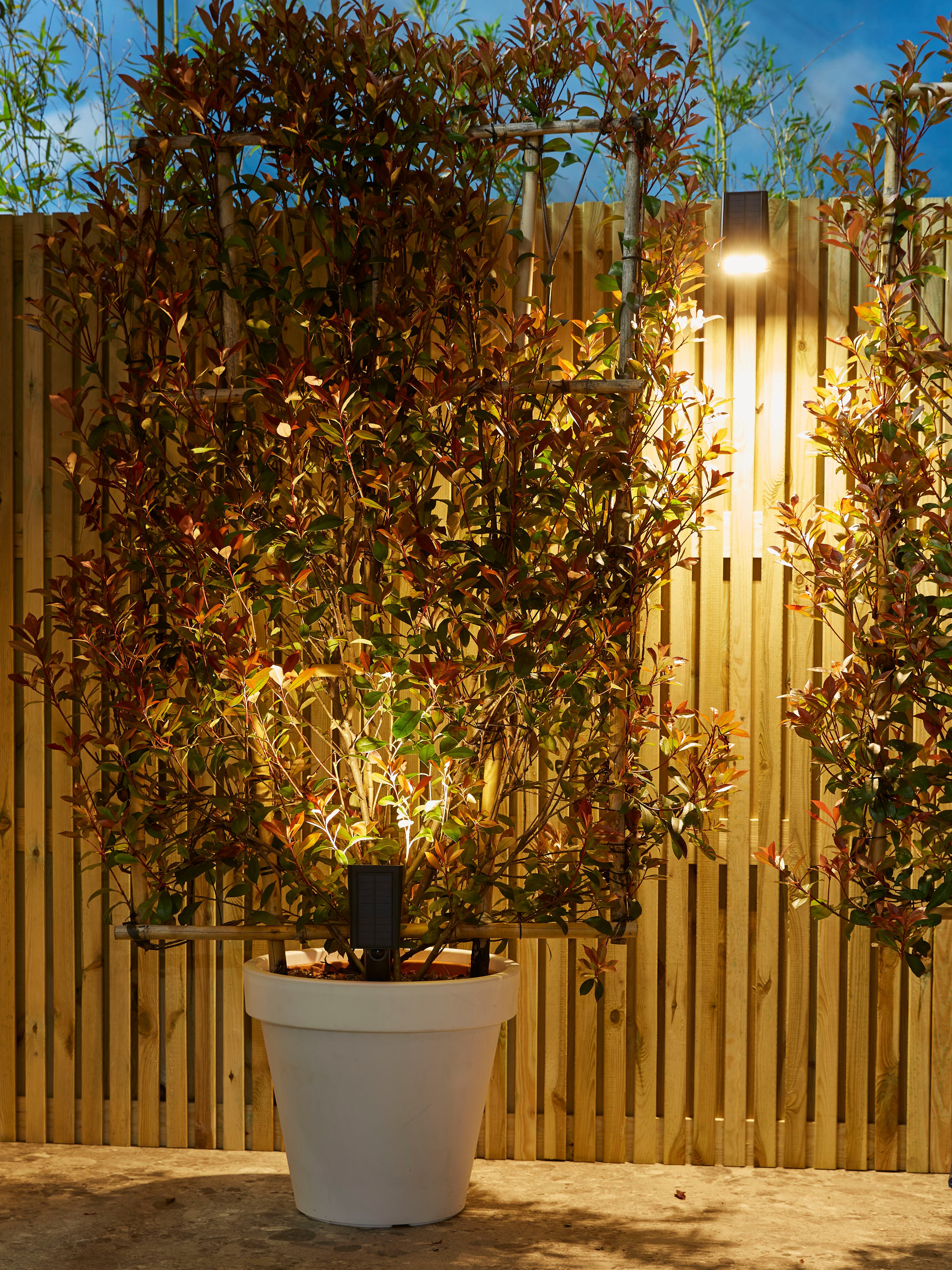 Luxform Gartenstrahler Solar-Intelligente - Erdspießleuchte - Rosario LED, LED fest integriert, Für den Außenbereich geeignet IP33