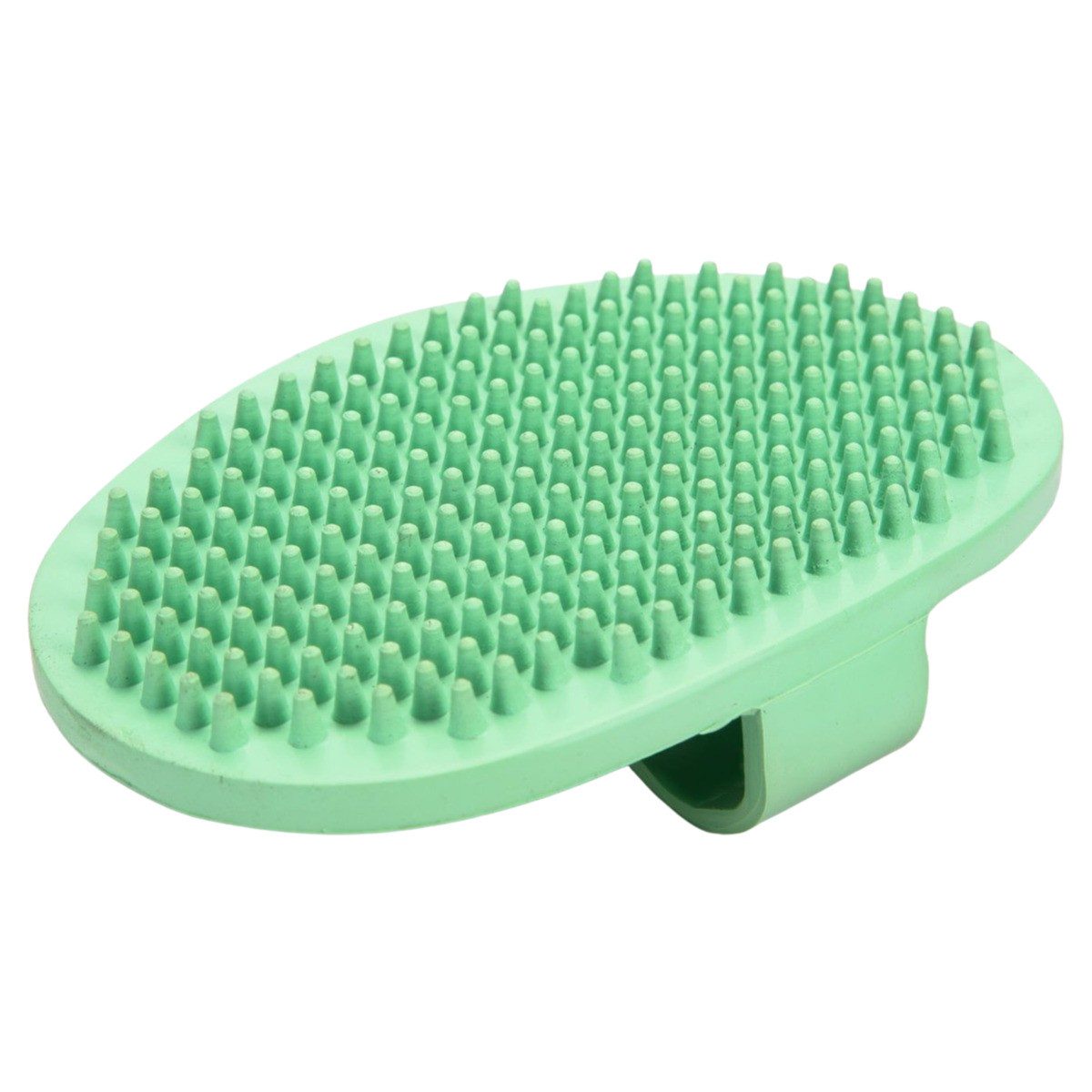 Fellbürste Massagebürste oval mint