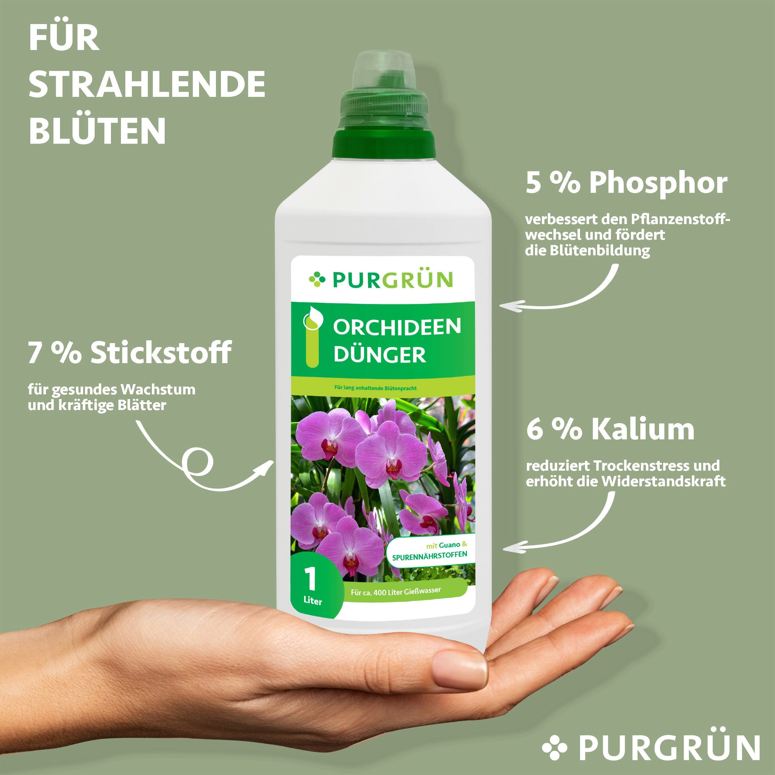 Purgrün Blumendünger Purgrün Orchideen Dünger, NPK günstig online kaufen