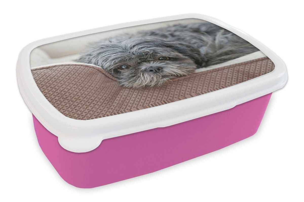 MuchoWow Lunchbox Shih Tzu-Hündin auf ihrem Bett ruhend, Kunststoff, (2-tlg), Brotbox für Erwachsene, Brotdose Kinder, Snackbox, Mädchen, Kunststoff rosa