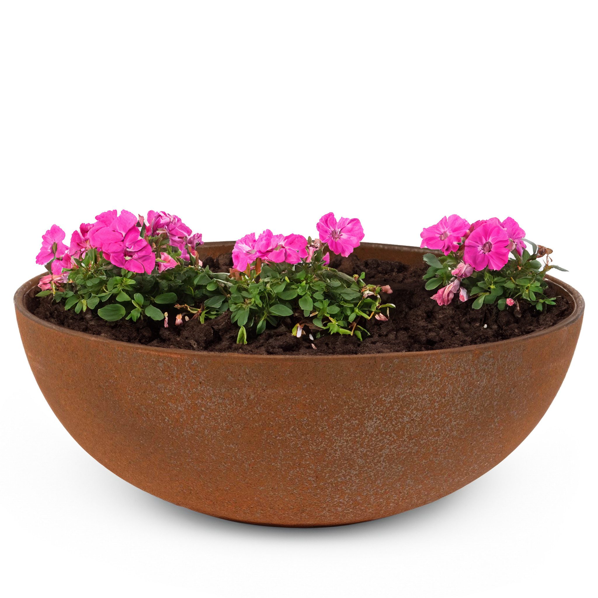 matches21 HOME & HOBBY Blumentopf Runde günstig online kaufen
