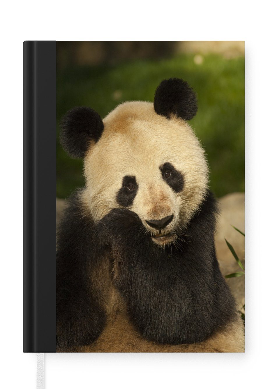 MuchoWow Notizbuch Panda - Tier - Weiß, Journal, Merkzettel, Tagebuch, Notizheft, A5, 98 Seiten, Haushaltsbuch